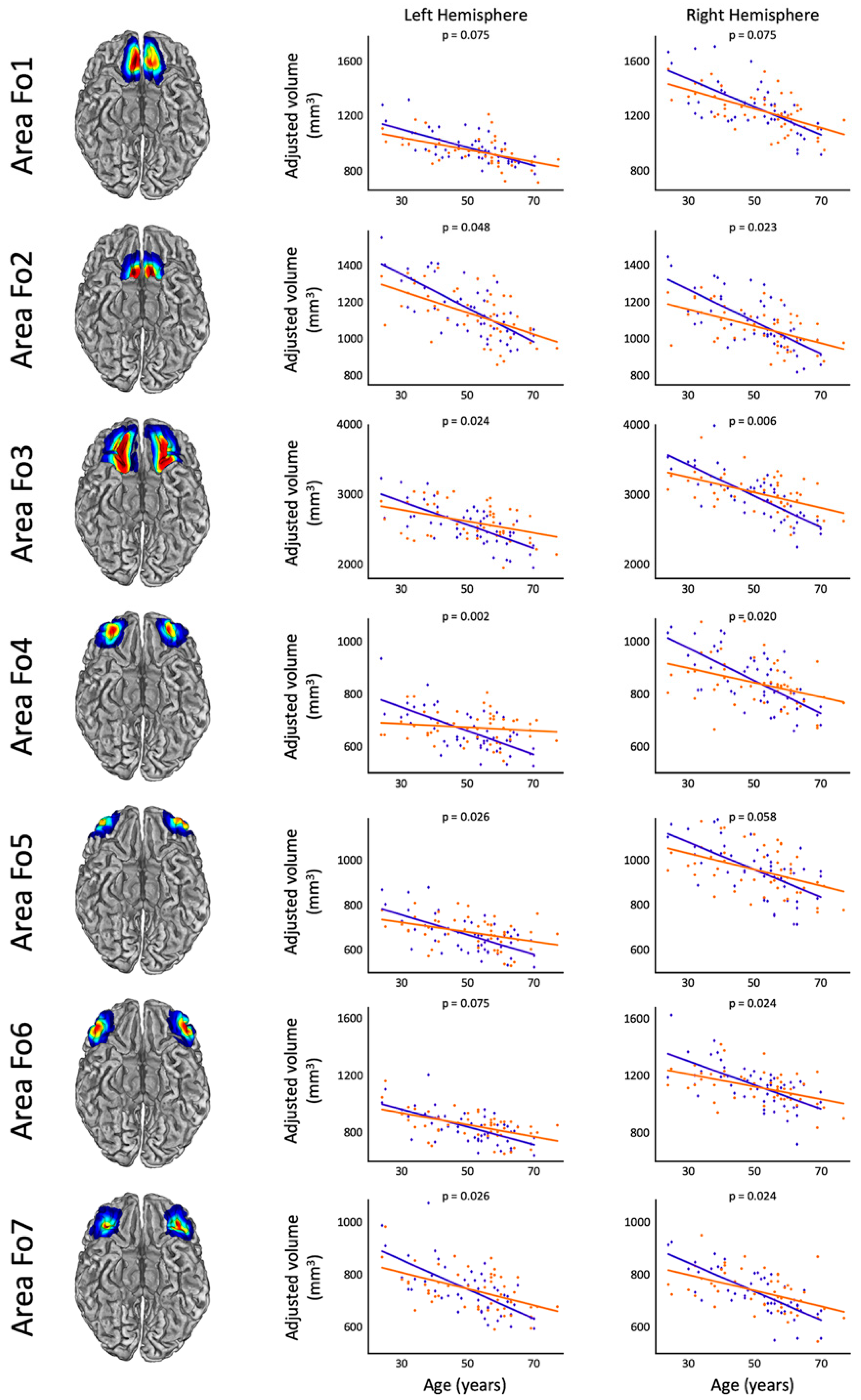 Brainsci 13 01677 g001 Brainsci 13 01677 g001
