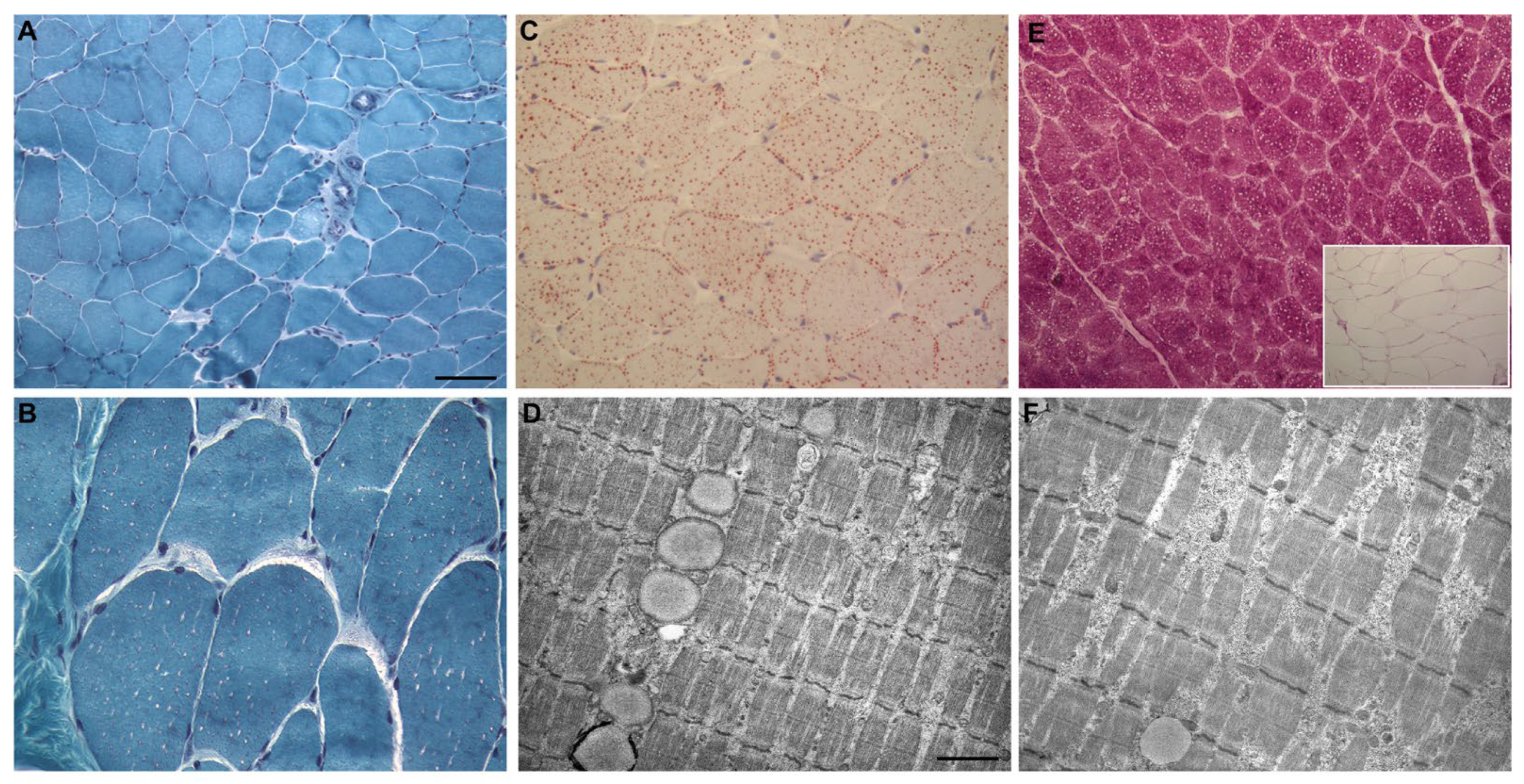 Brainsci 13 01679 g002