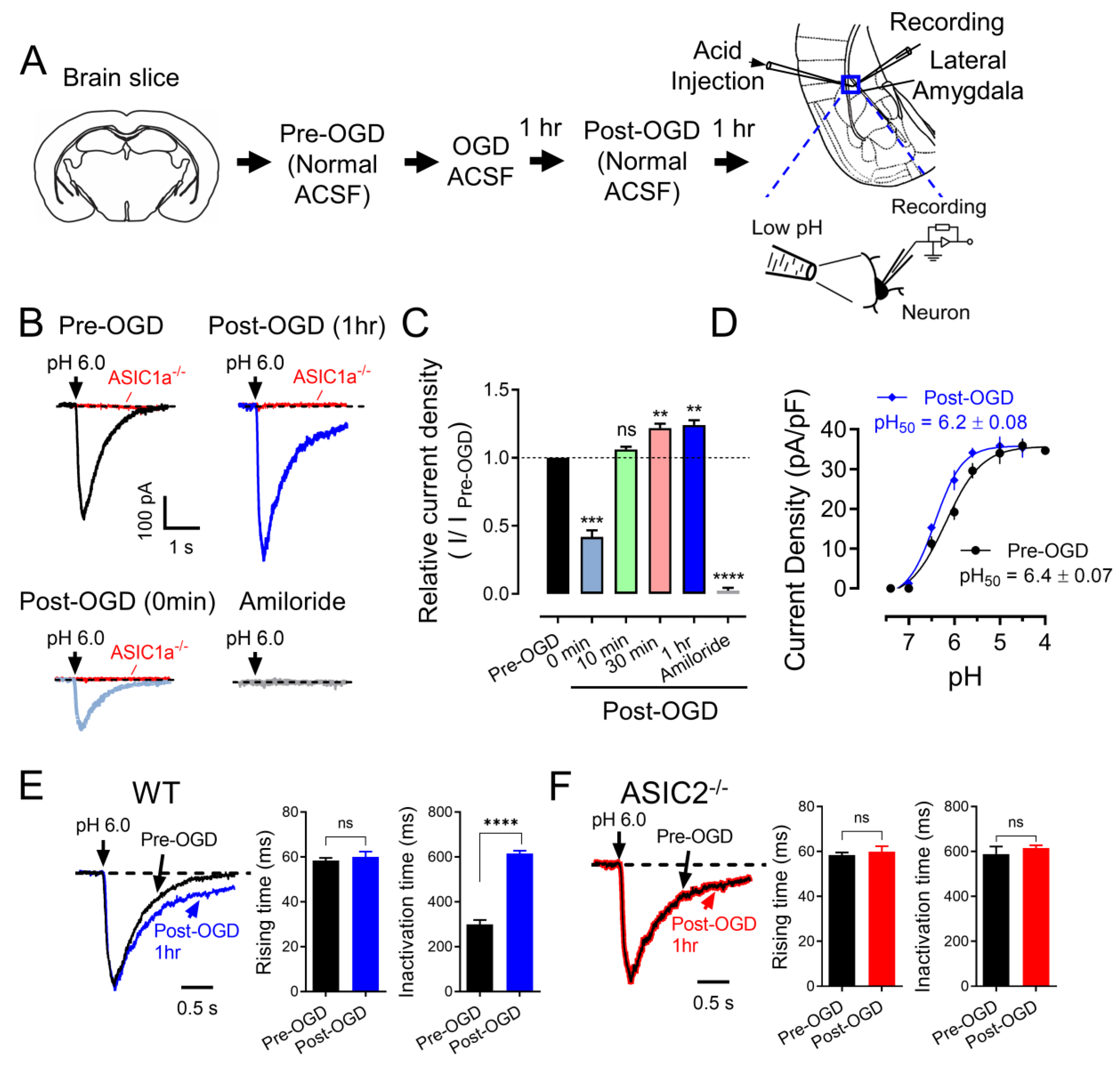 Brainsci 13 01684 g001