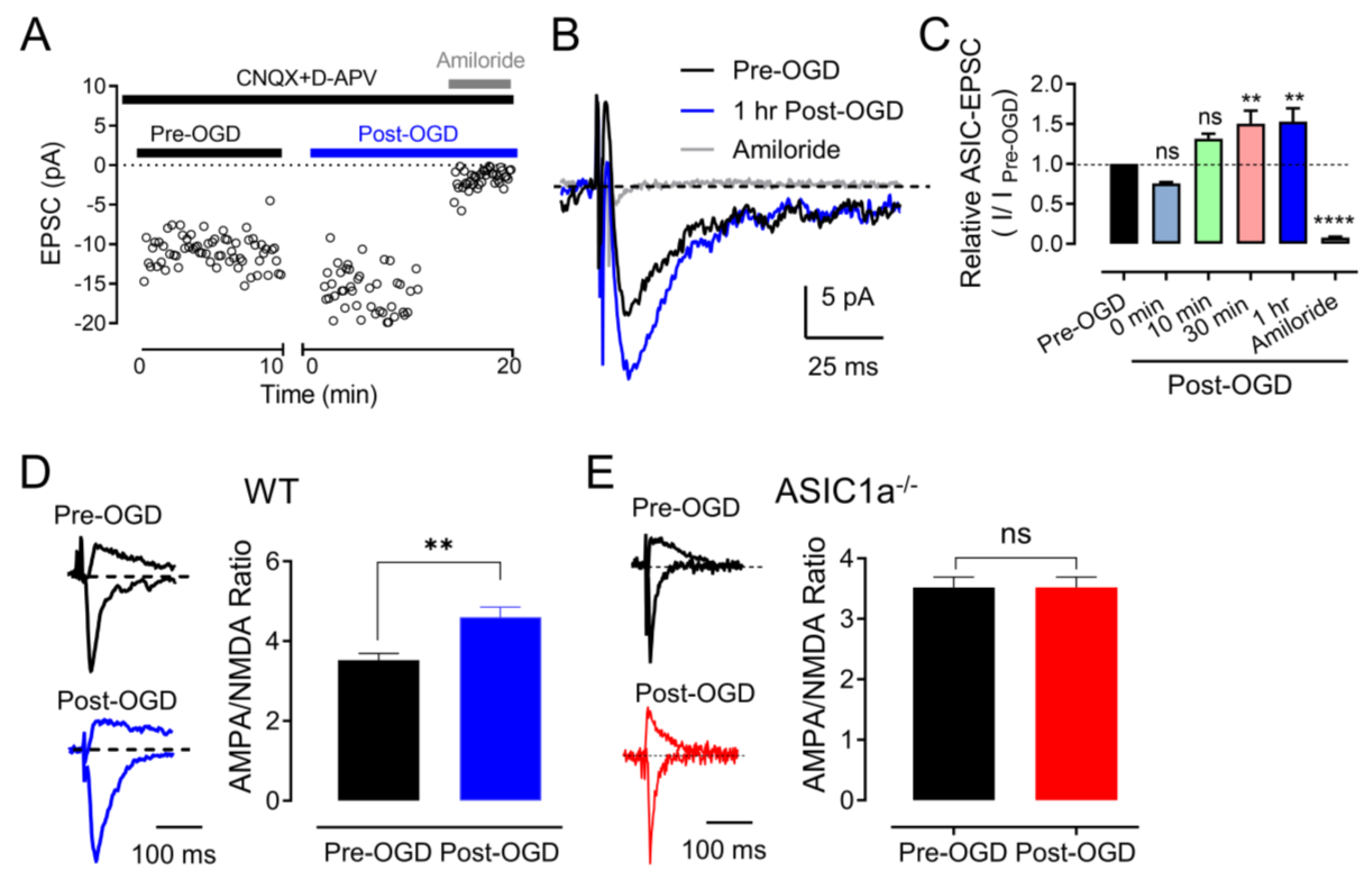 Brainsci 13 01684 g002