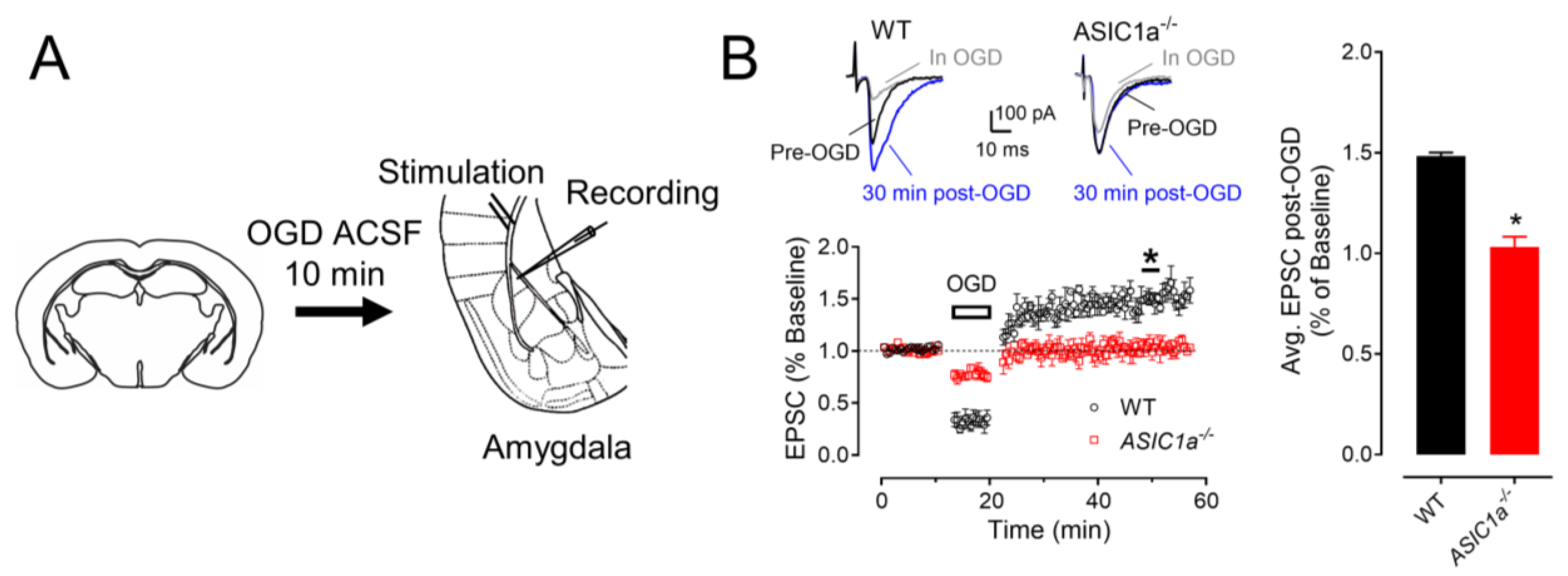 Brainsci 13 01684 g003