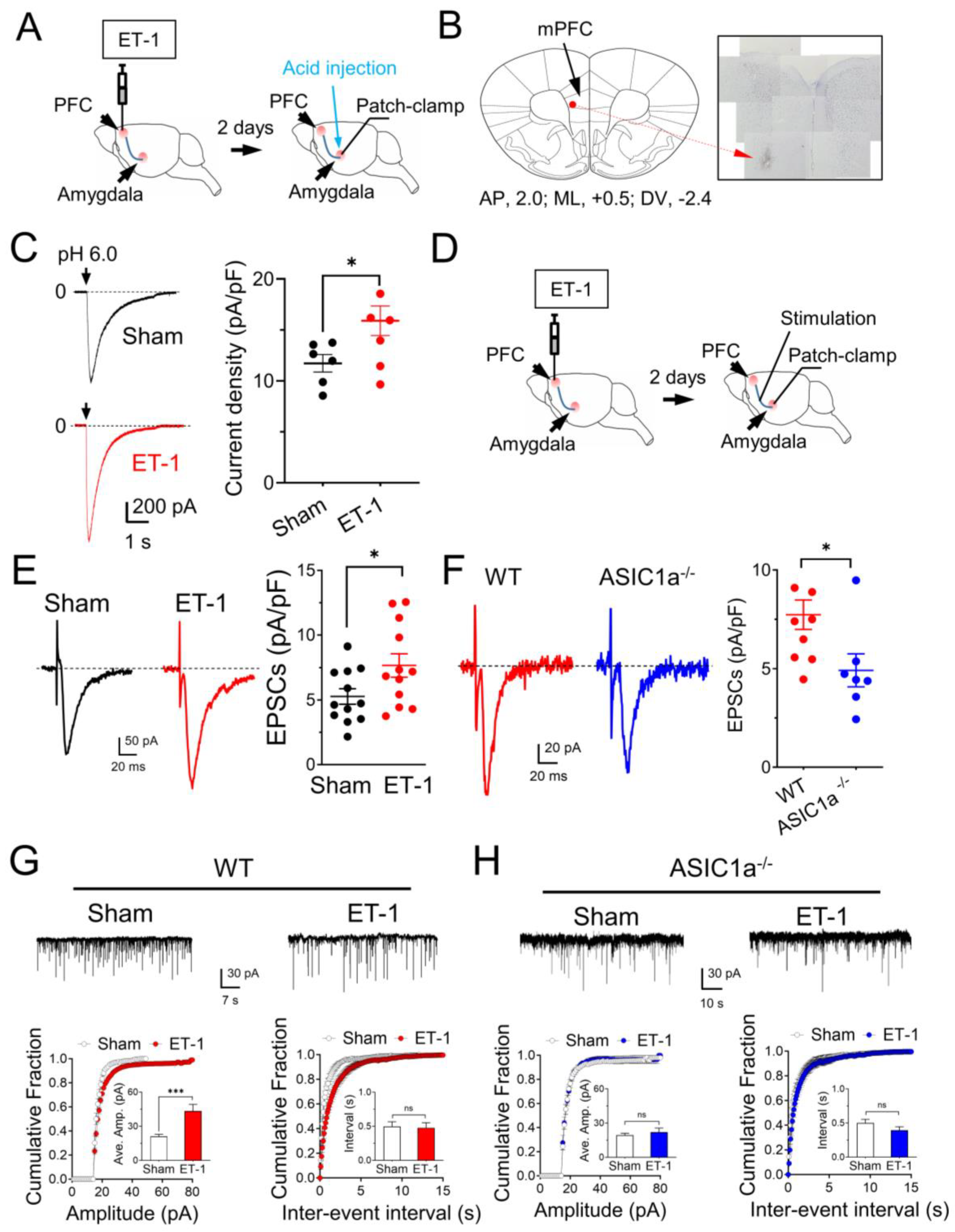 Brainsci 13 01684 g004