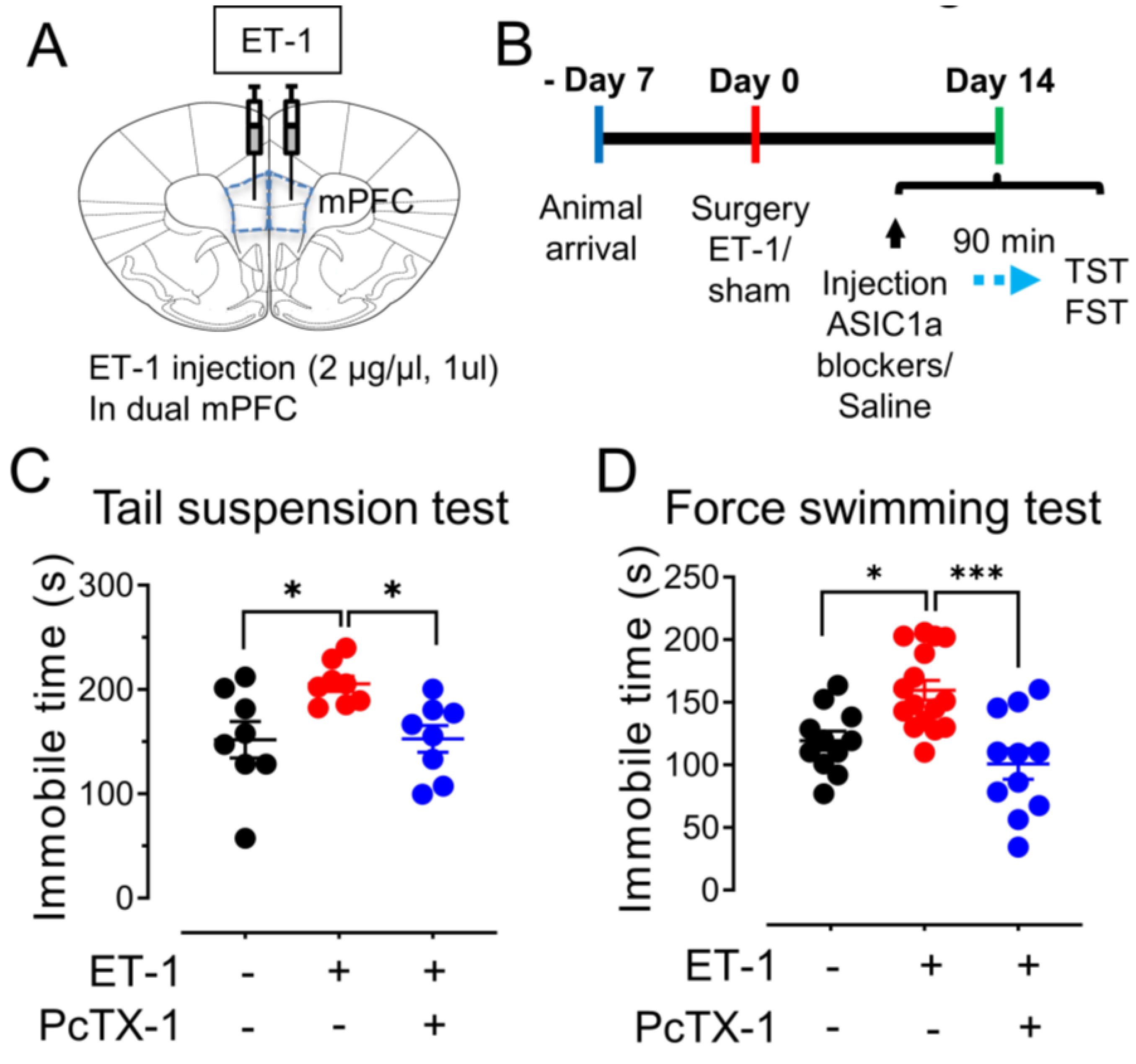 Brainsci 13 01684 g005