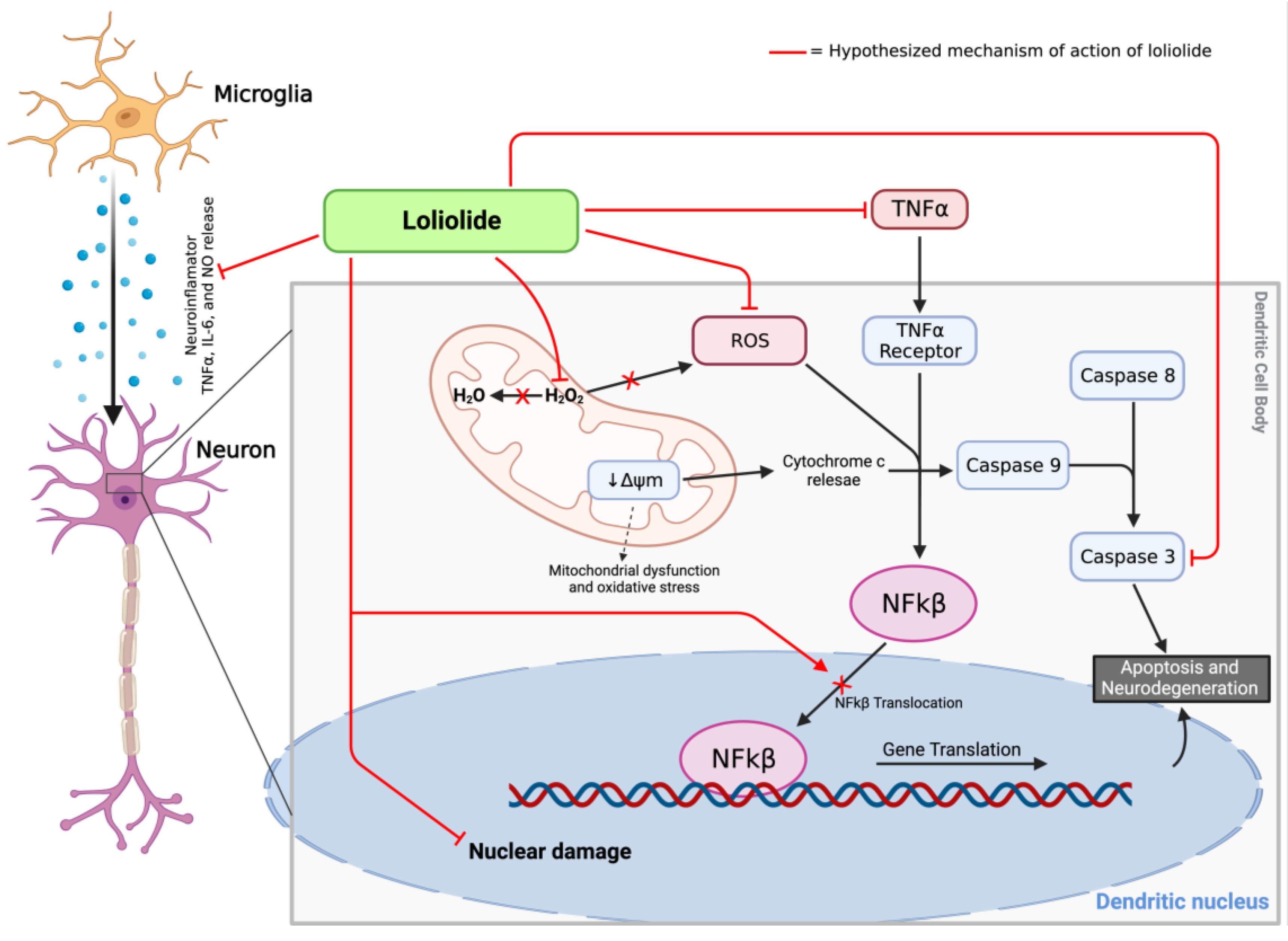 Brainsci 13 01686 g007