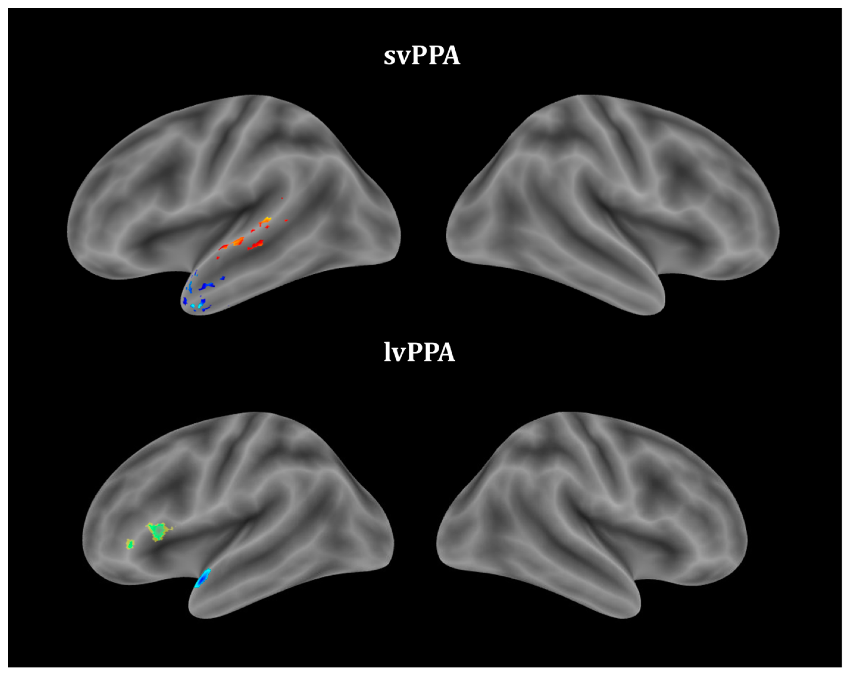 Brainsci 13 01703 g002 Brainsci 13 01703 g002