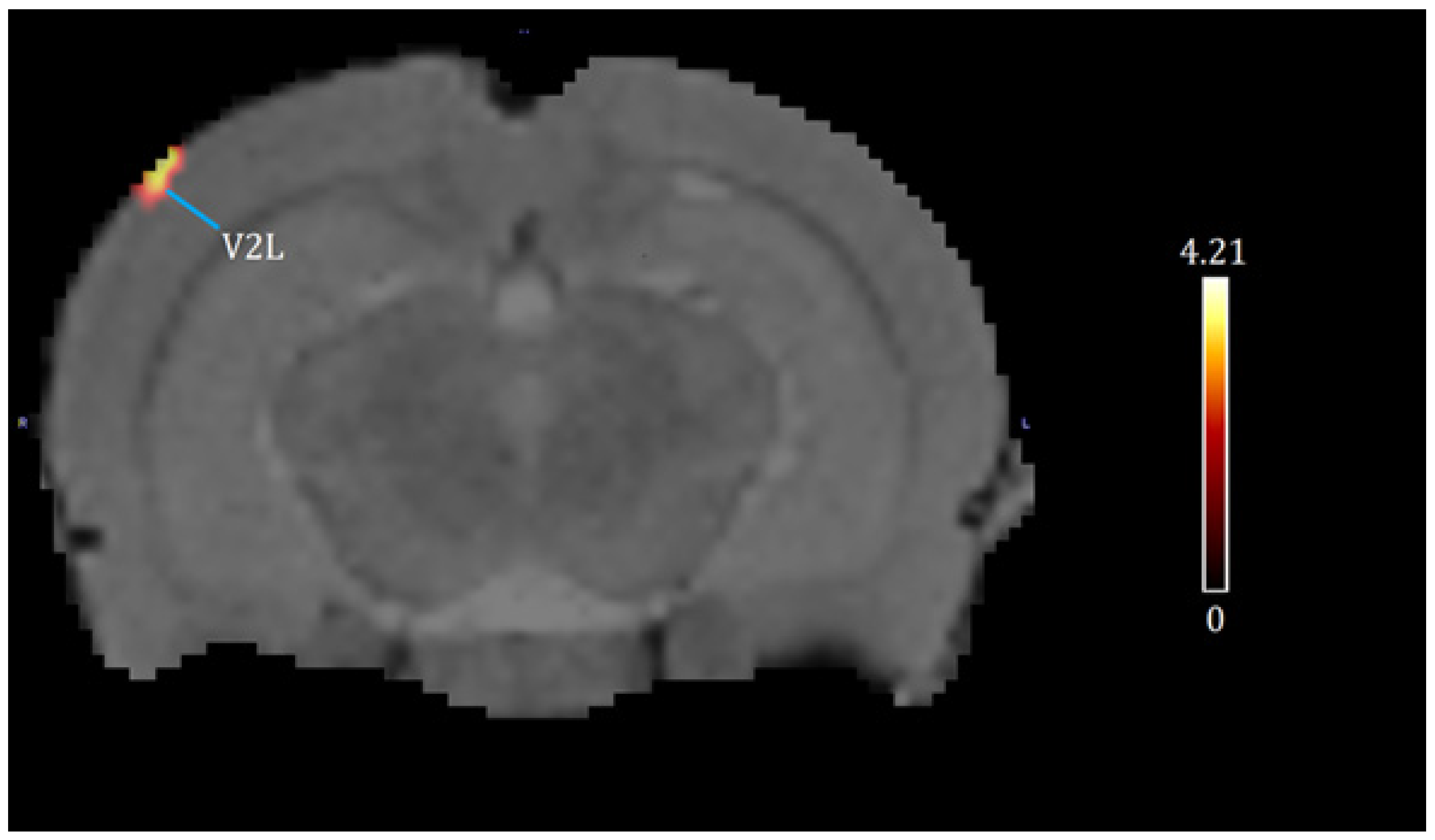 Brainsci 13 01705 g002