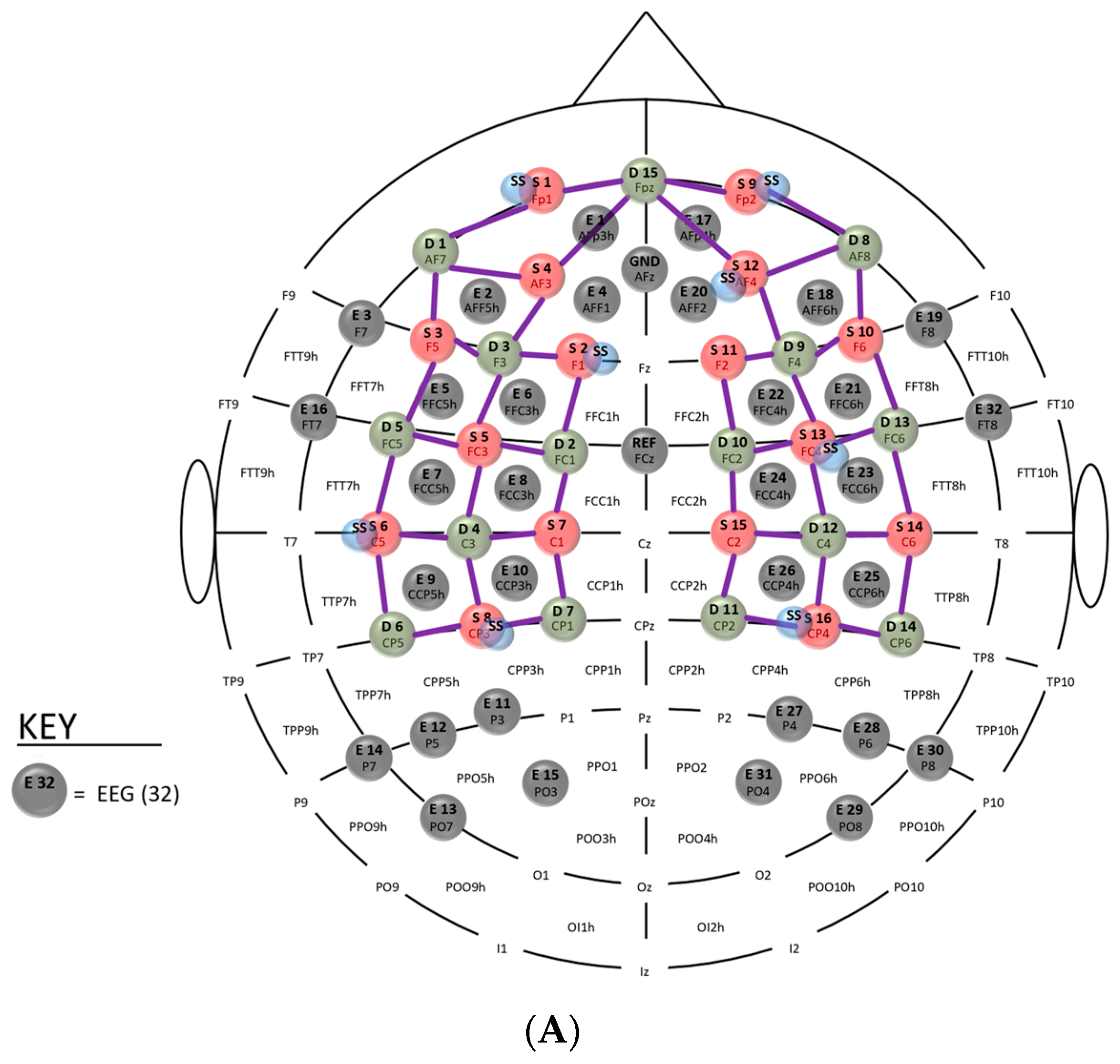 Brainsci 13 01706 g001a