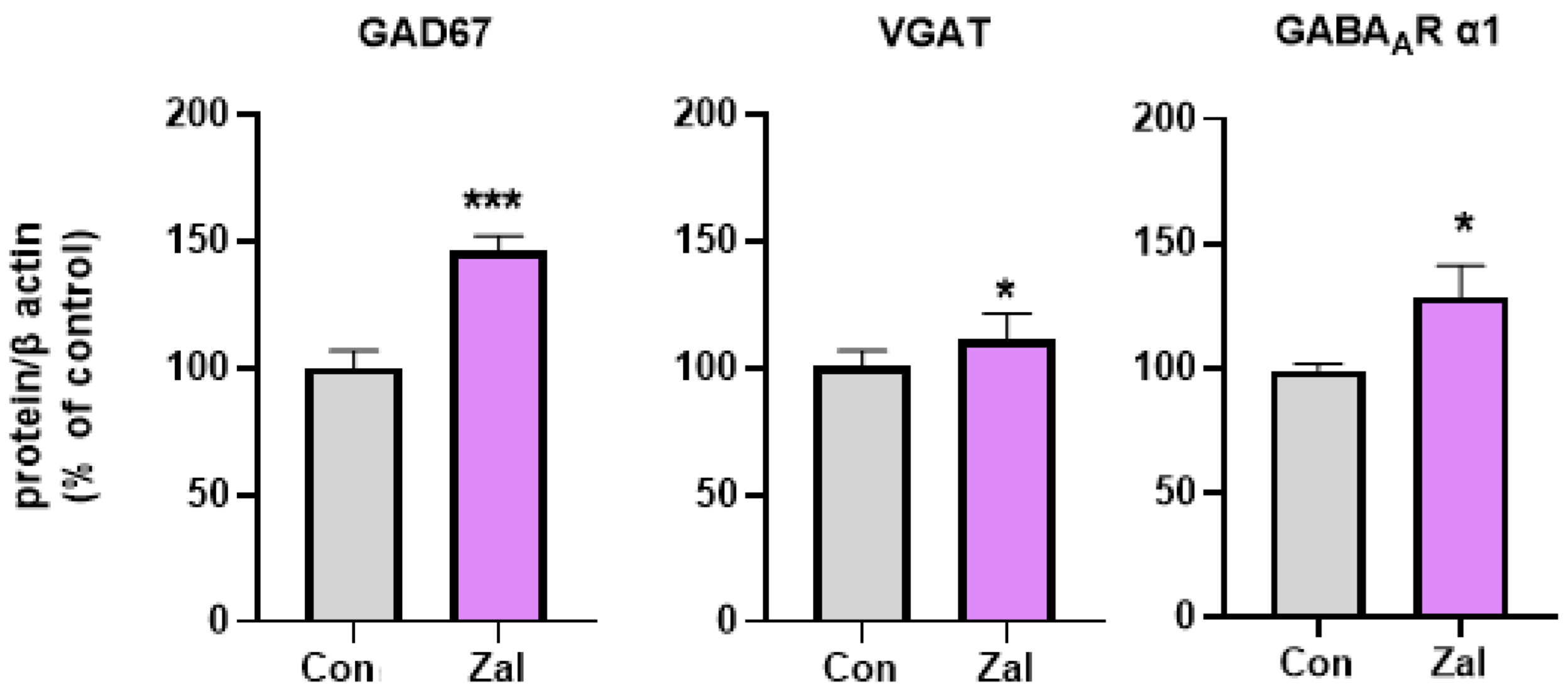 Brainsci 13 01707 g002 Brainsci 13 01707 g002