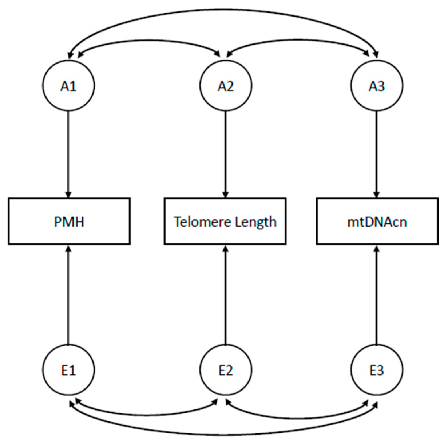 Brainsci 13 01720 g001