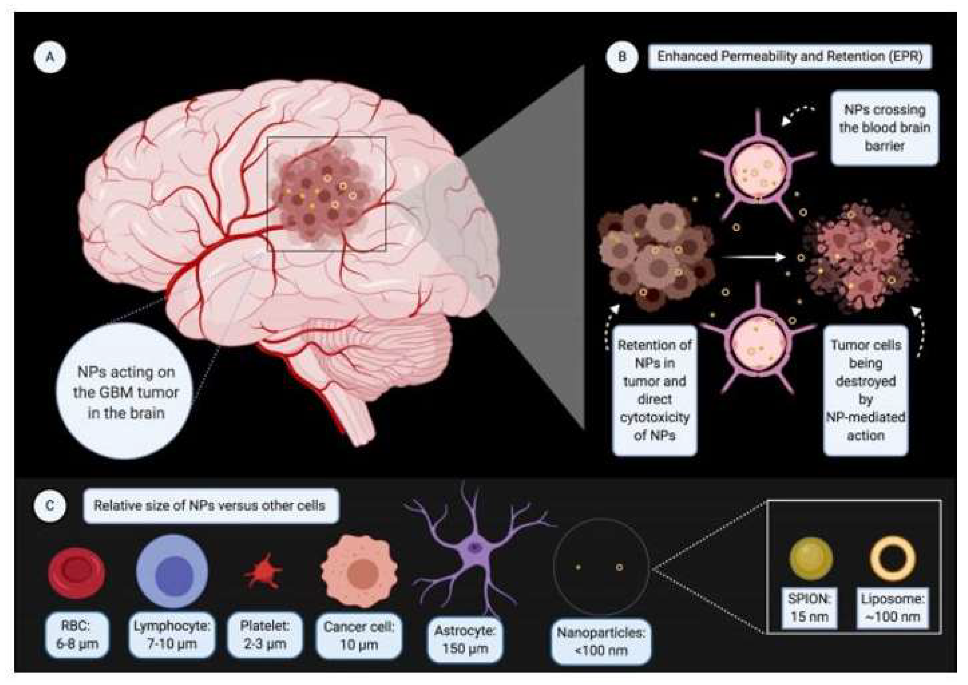 Brainsci 13 01727 g002
