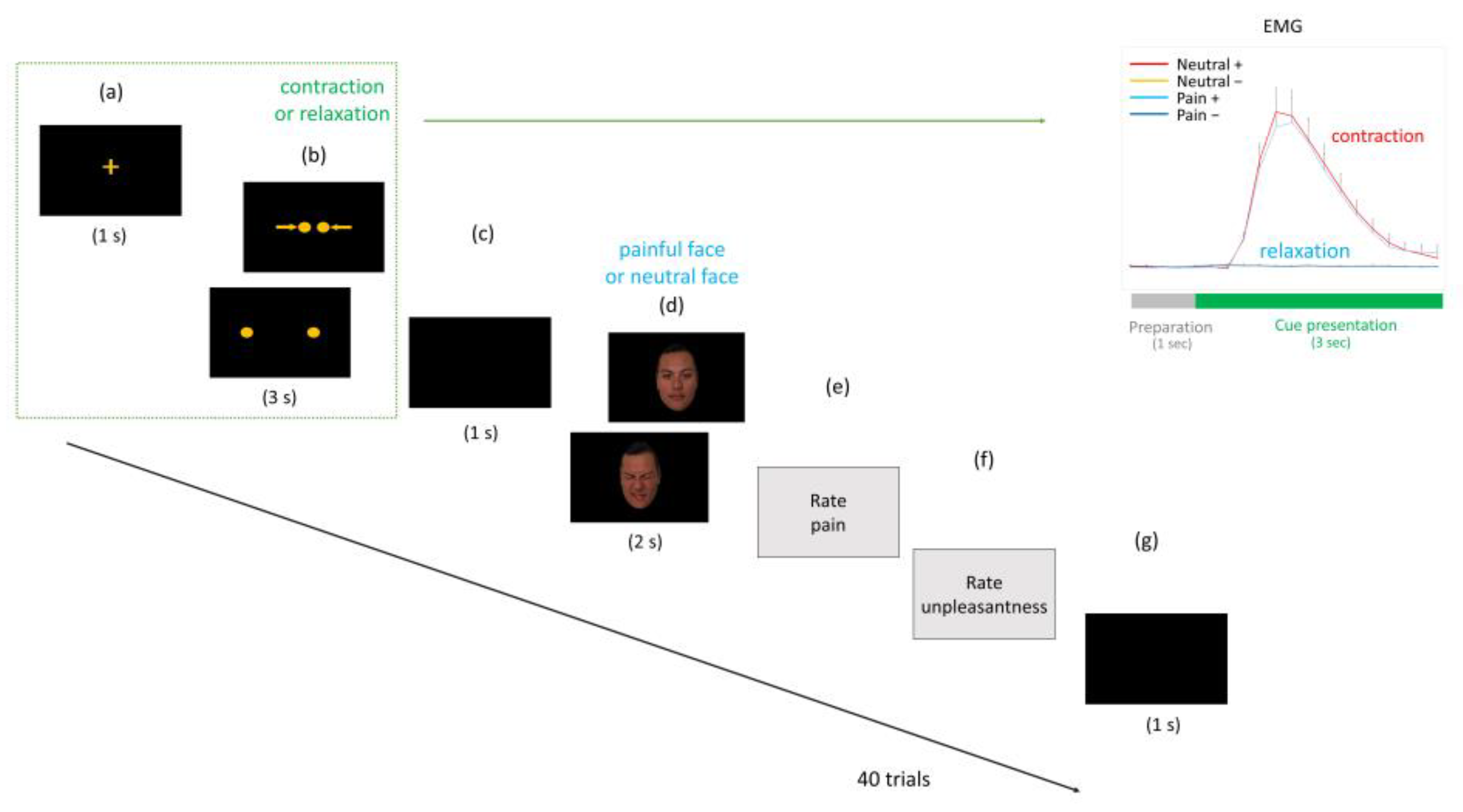 Brainsci 14 00005 g001