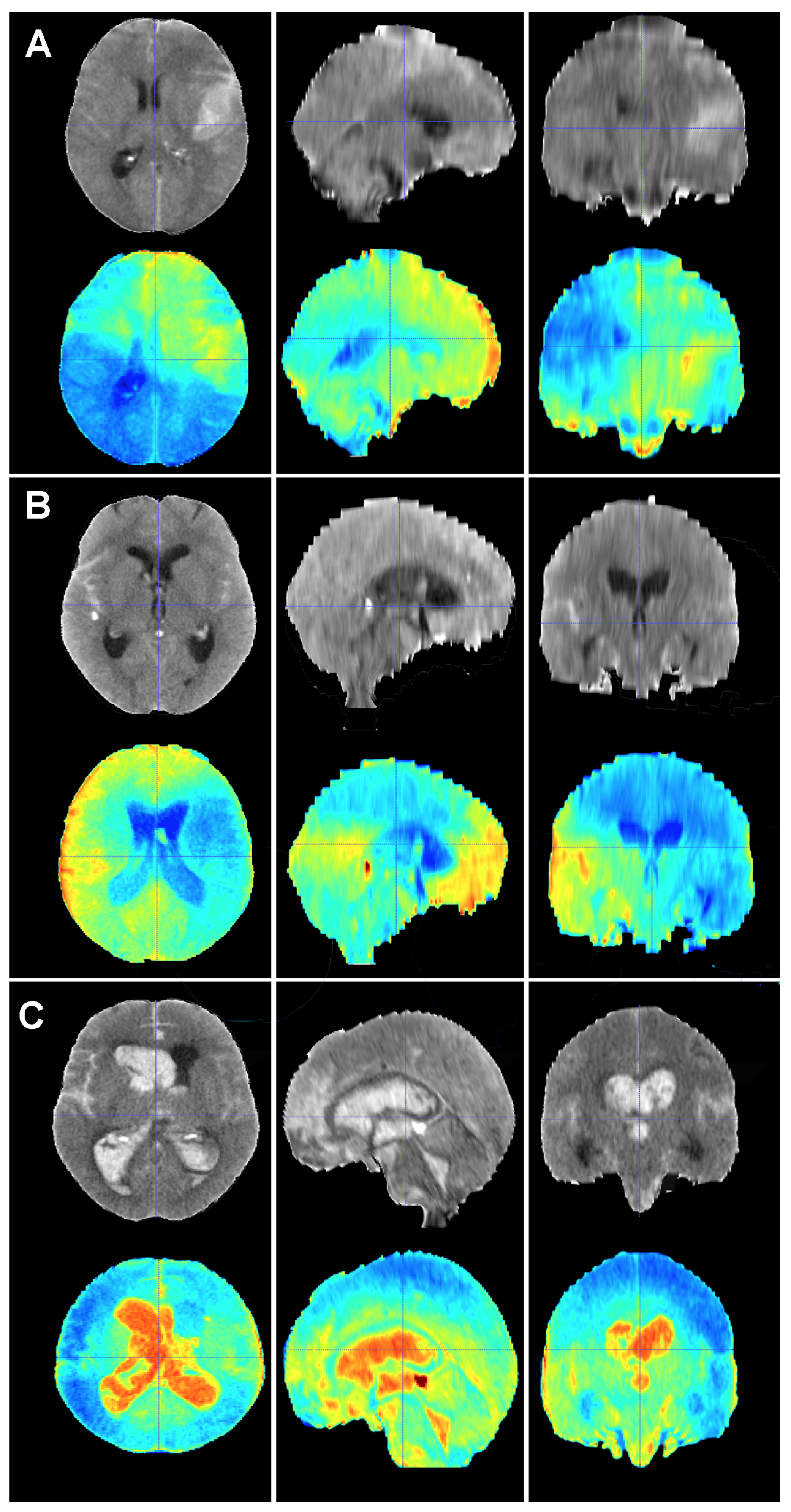 Brainsci 14 00010 g006