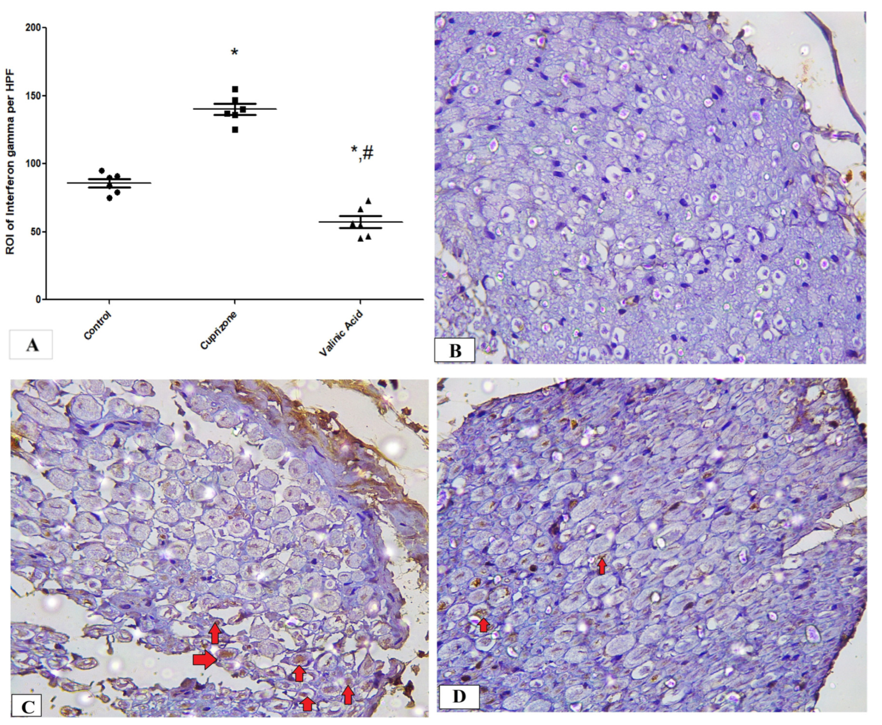 Brainsci 14 00012 g006
