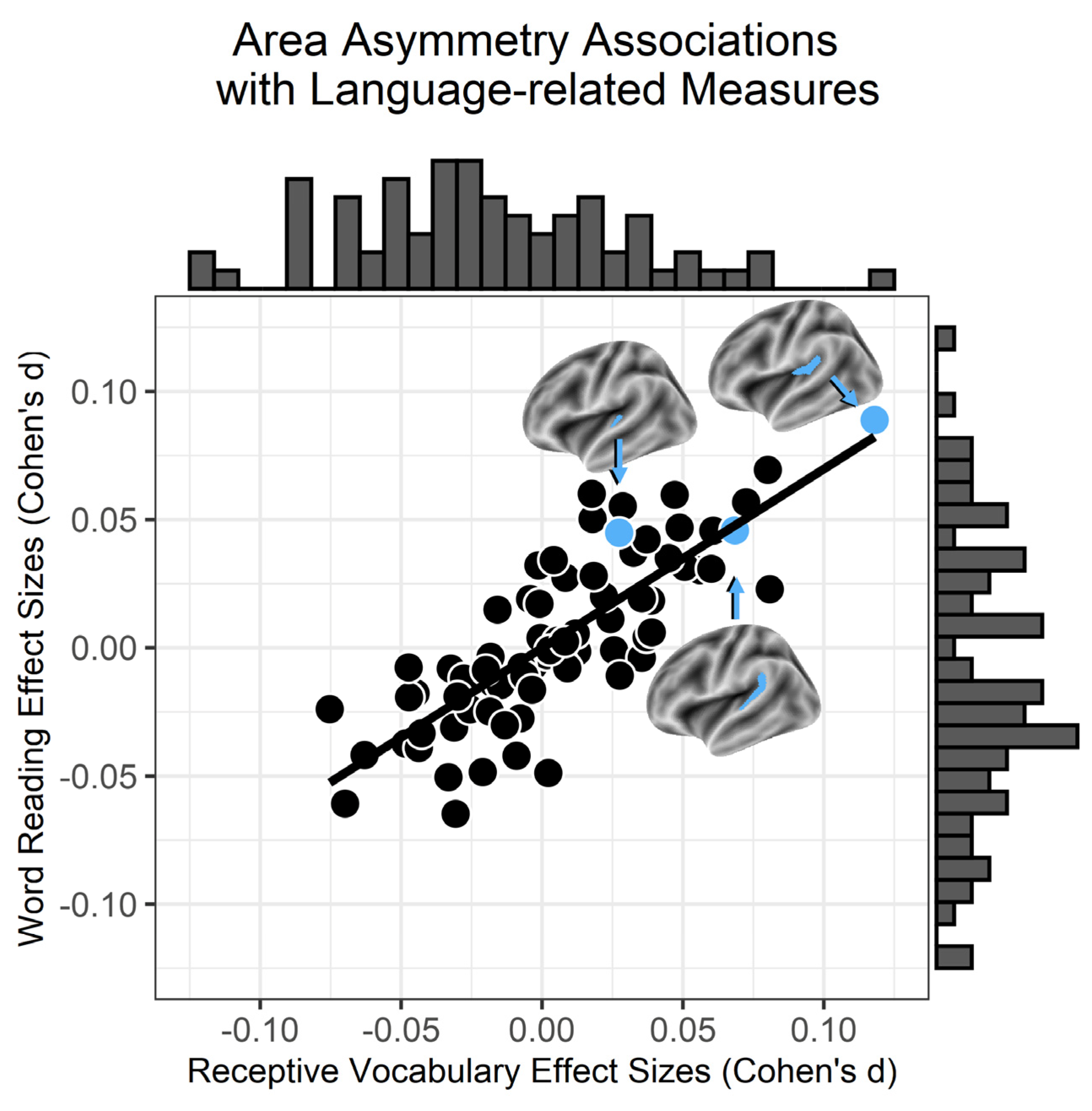 Brainsci 14 00014 g001