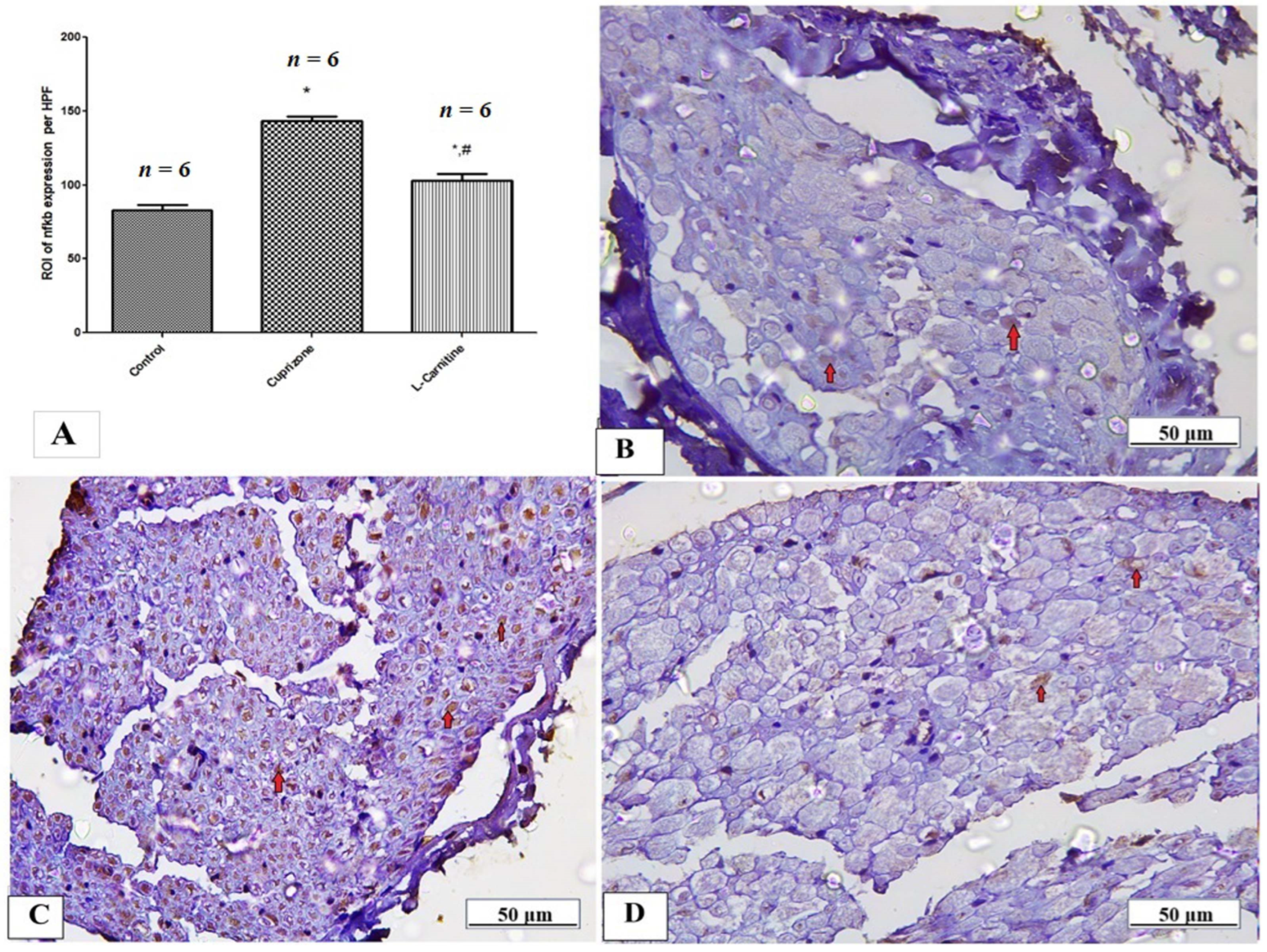 Brainsci 14 00023 g008