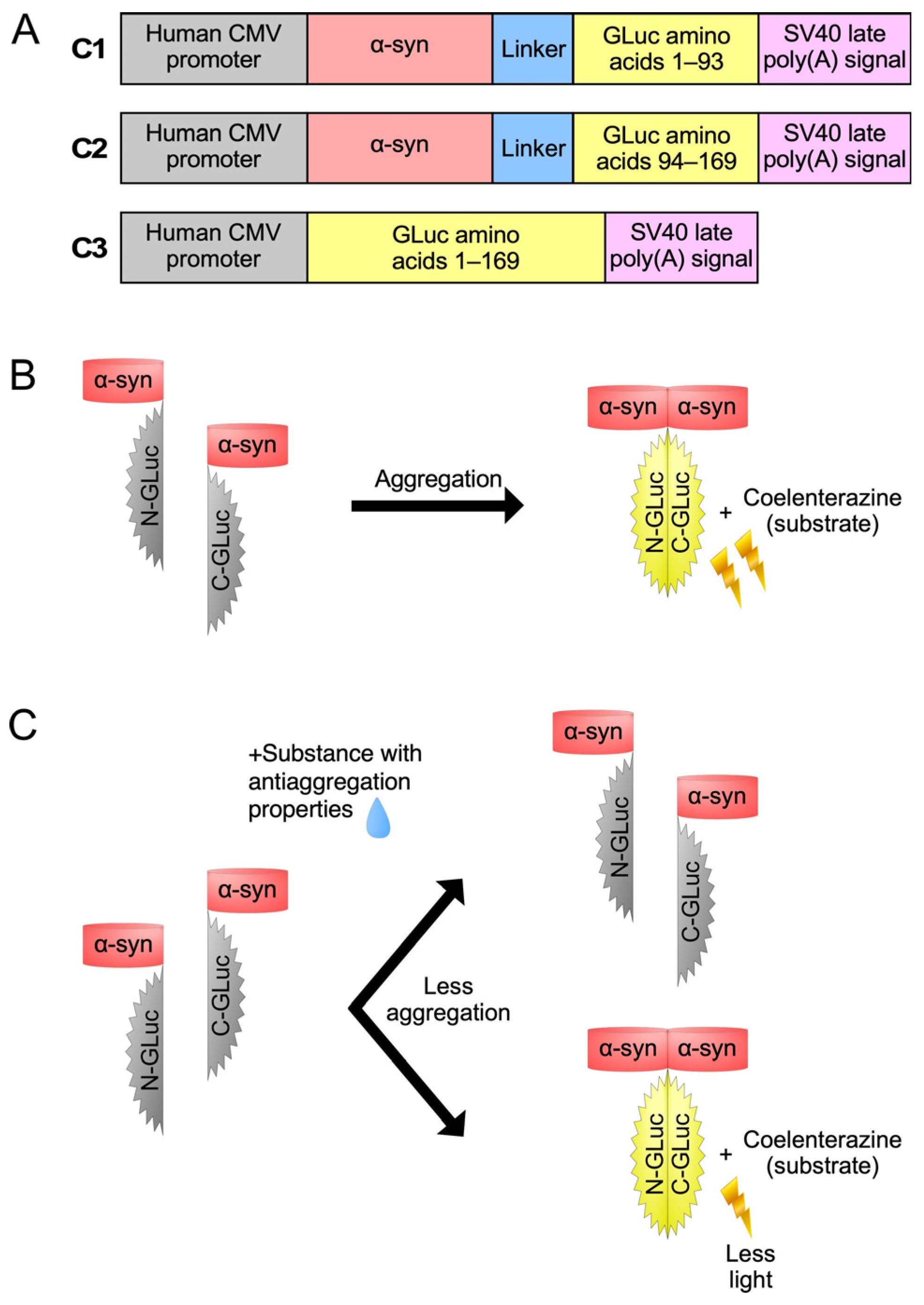 Brainsci 14 00035 g001 Brainsci 14 00035 g001