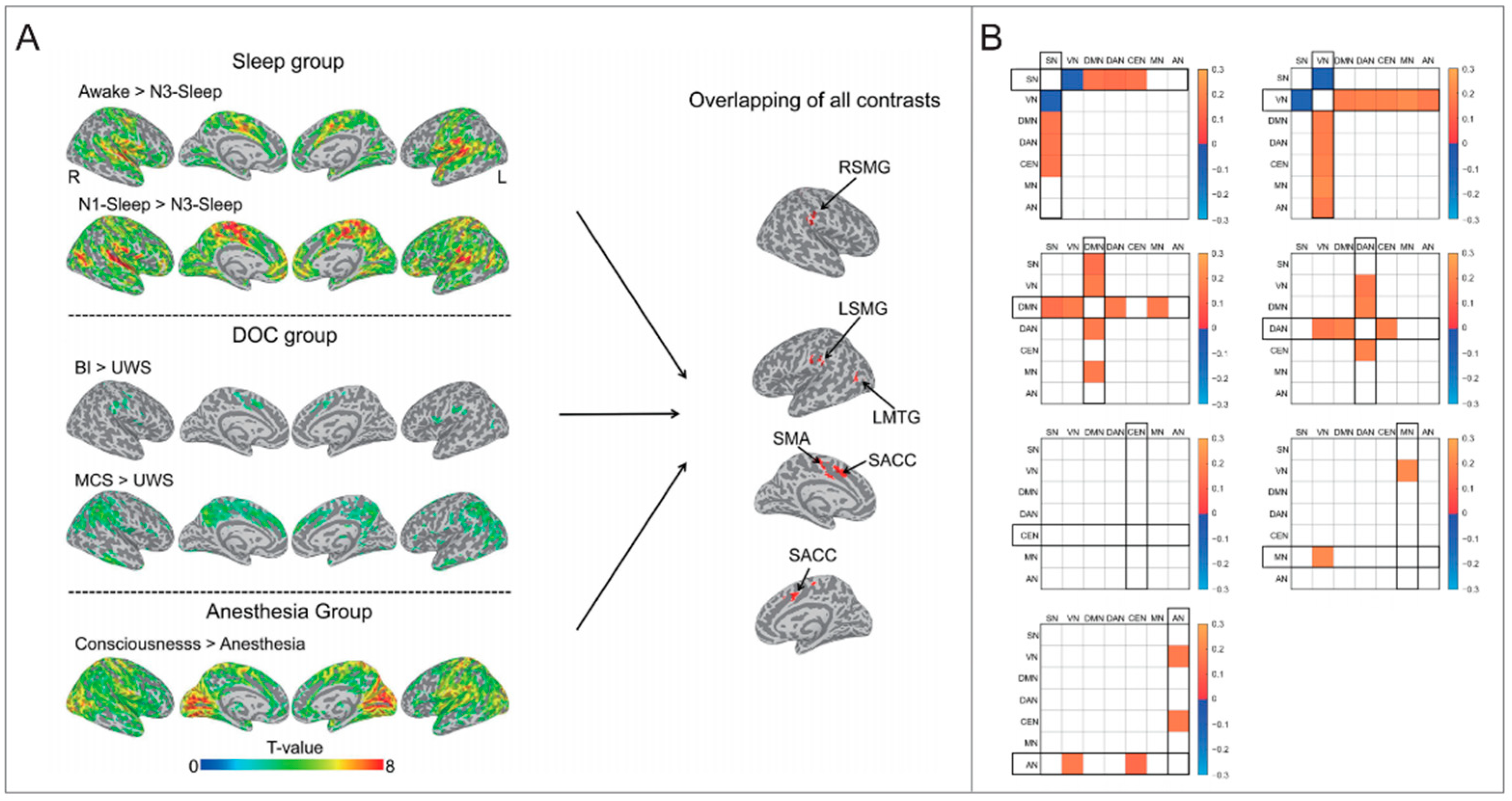 Brainsci 14 00050 g001 Brainsci 14 00050 g001