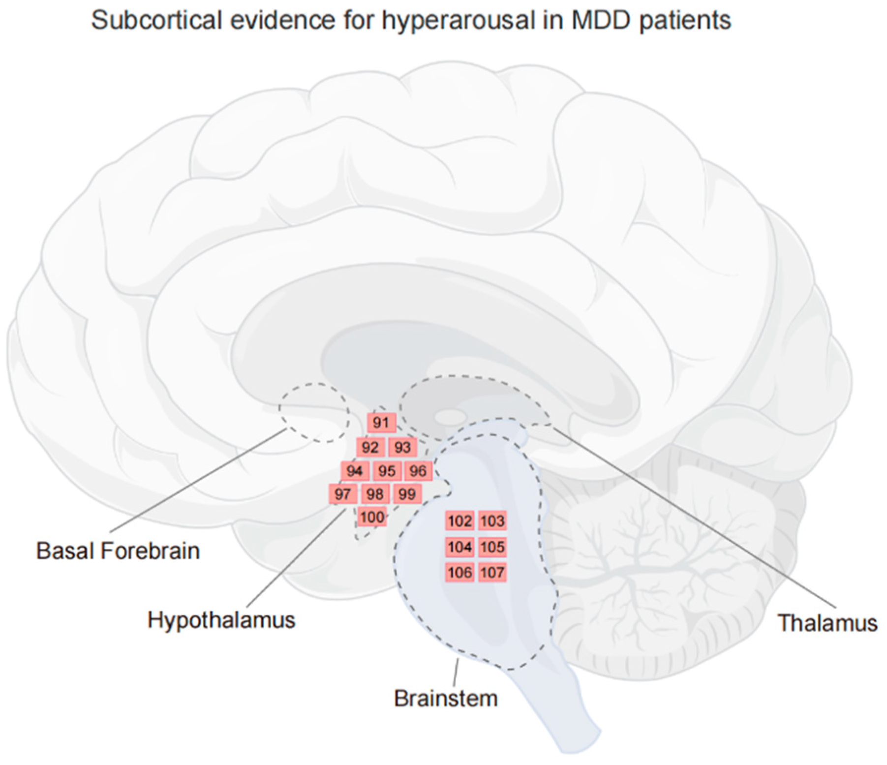 Brainsci 14 00050 g002 Brainsci 14 00050 g002