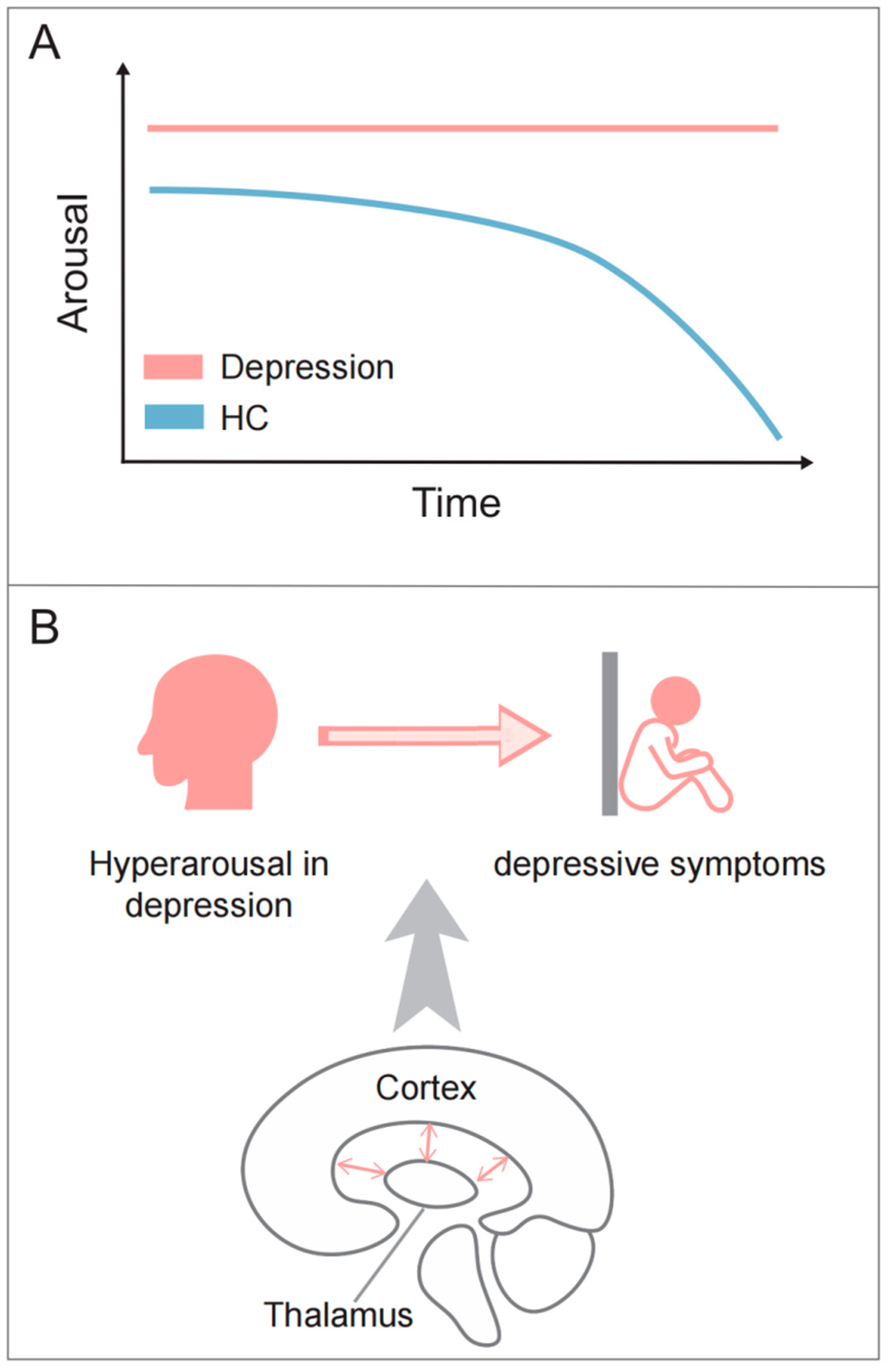Brainsci 14 00050 g003 Brainsci 14 00050 g003
