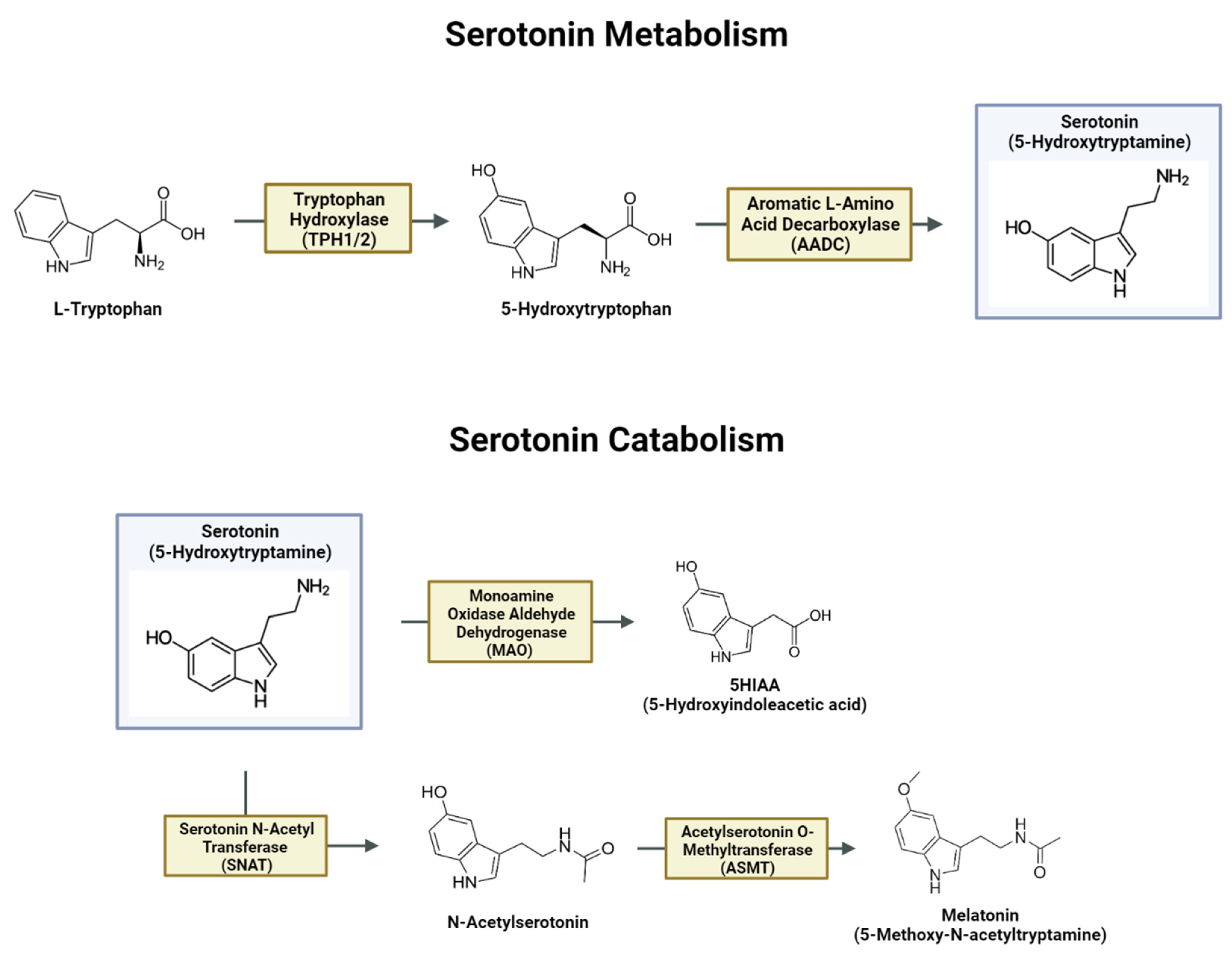 Brainsci 14 00051 g002 Brainsci 14 00051 g002