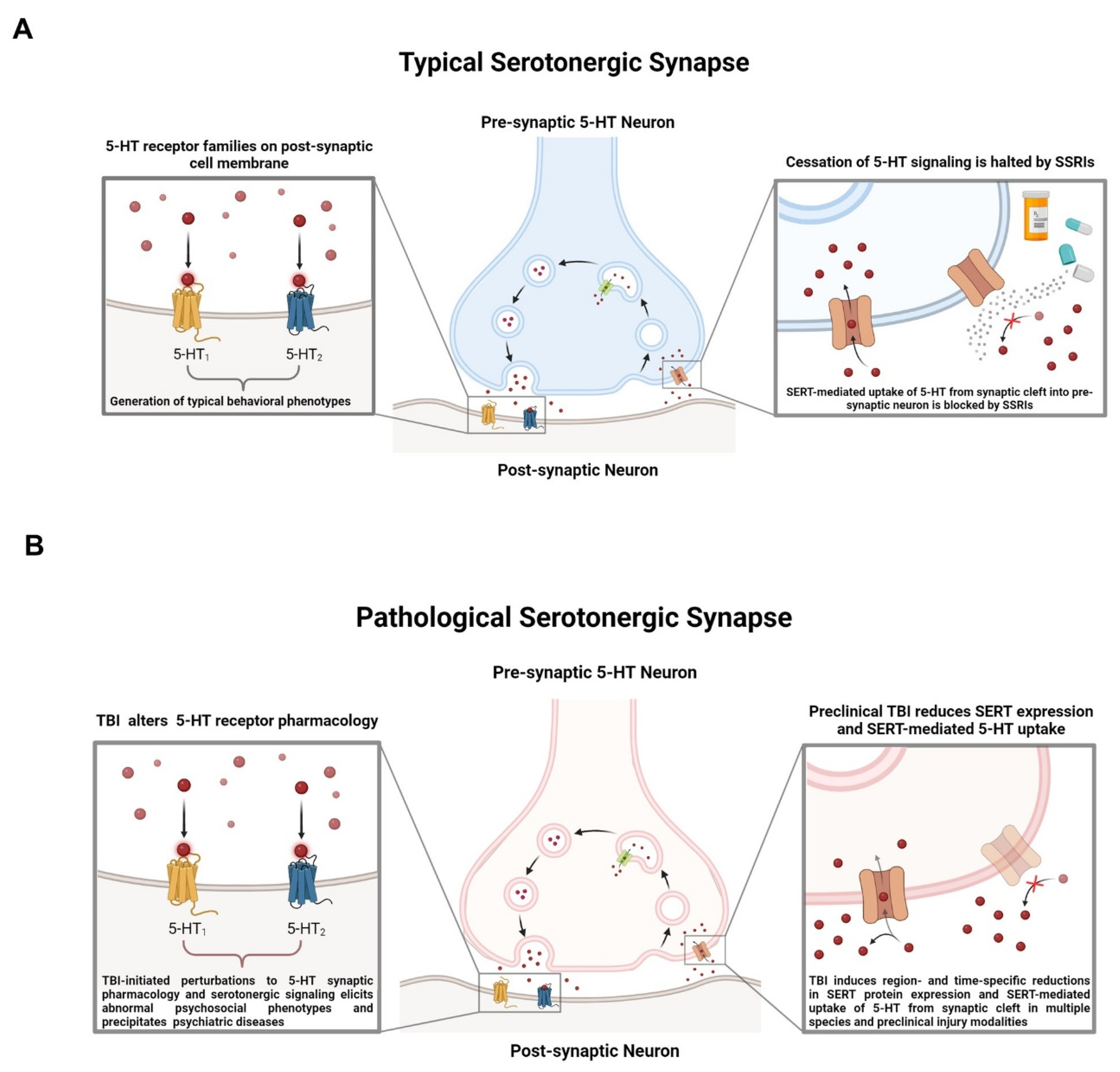 Brainsci 14 00051 g003 Brainsci 14 00051 g003