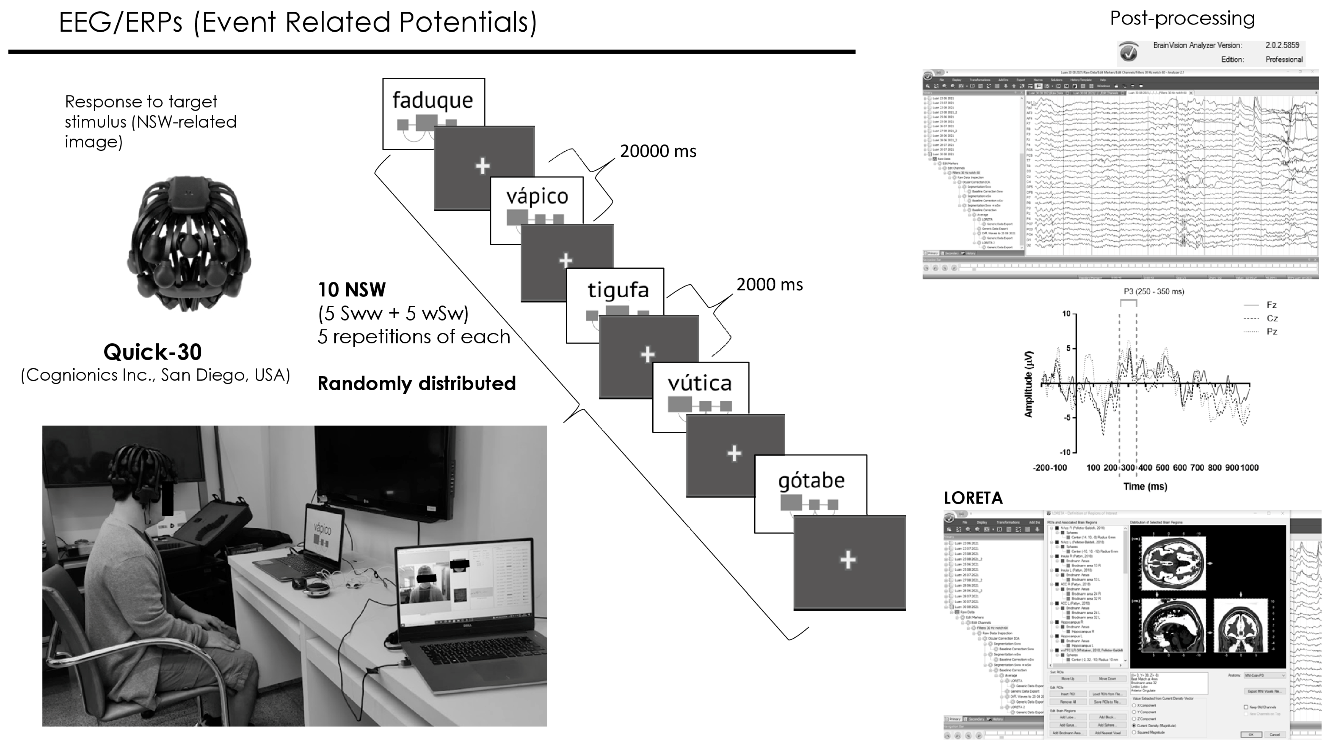 Brainsci 14 00058 g002 Brainsci 14 00058 g002