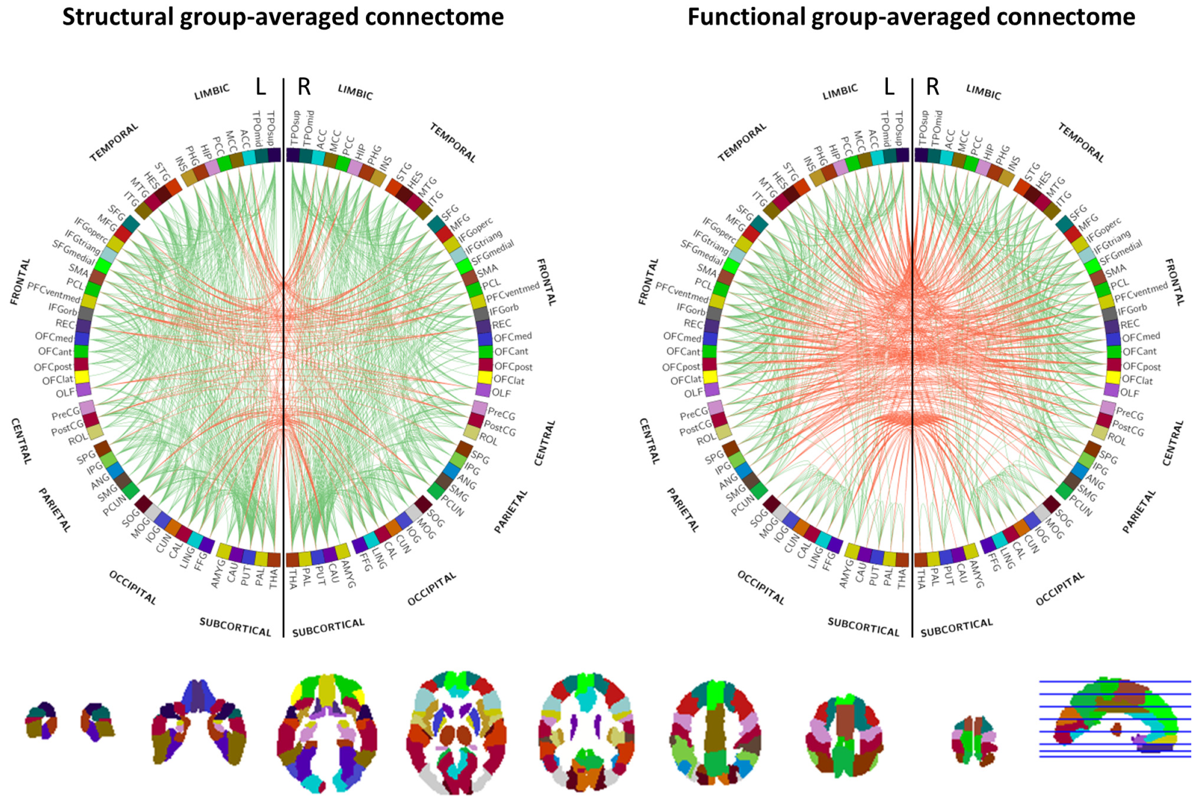 Brainsci 14 00062 g002