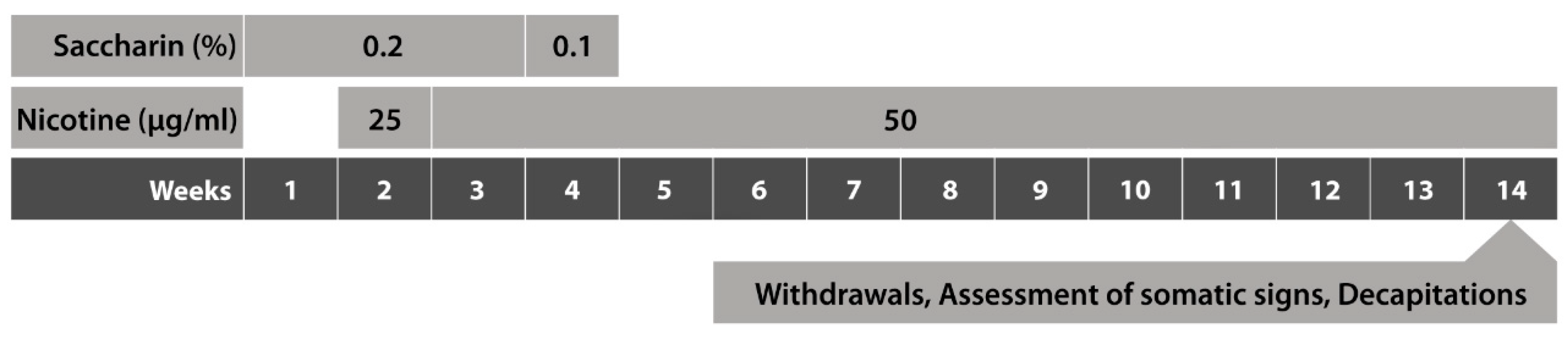 Brainsci 14 00063 g001 Brainsci 14 00063 g001