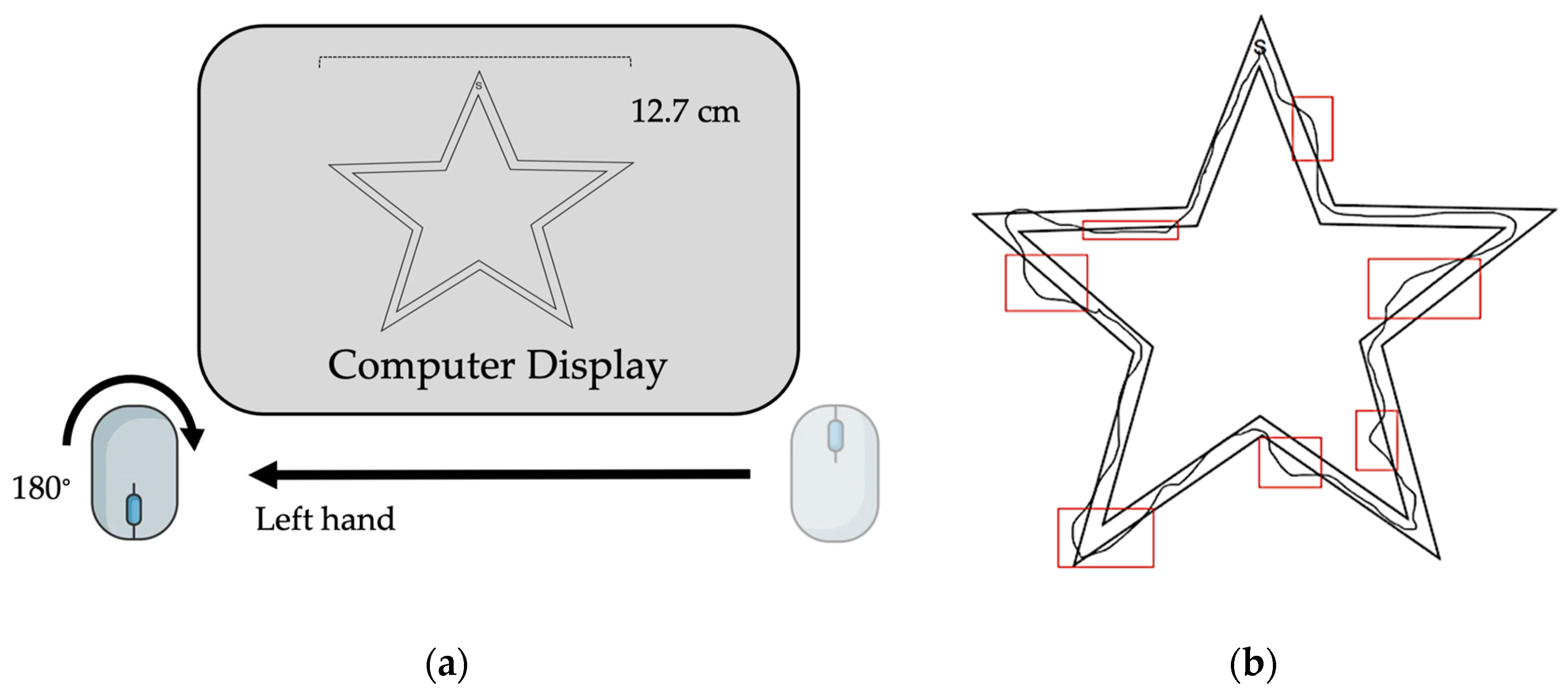 Brainsci 14 00065 g001