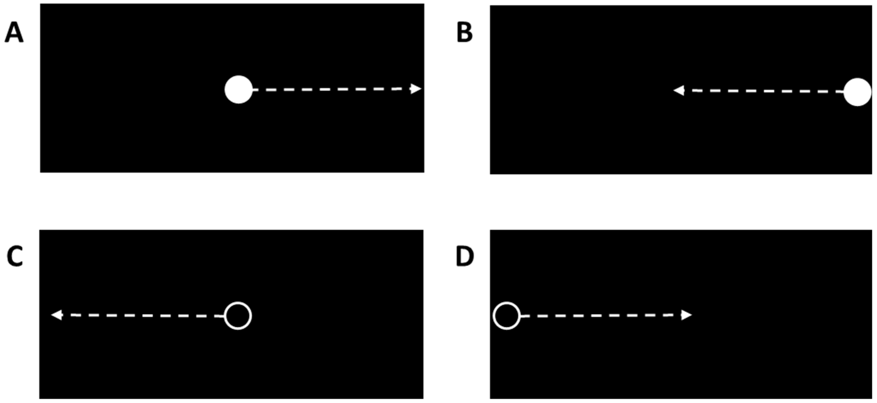 Brainsci 14 00068 g002