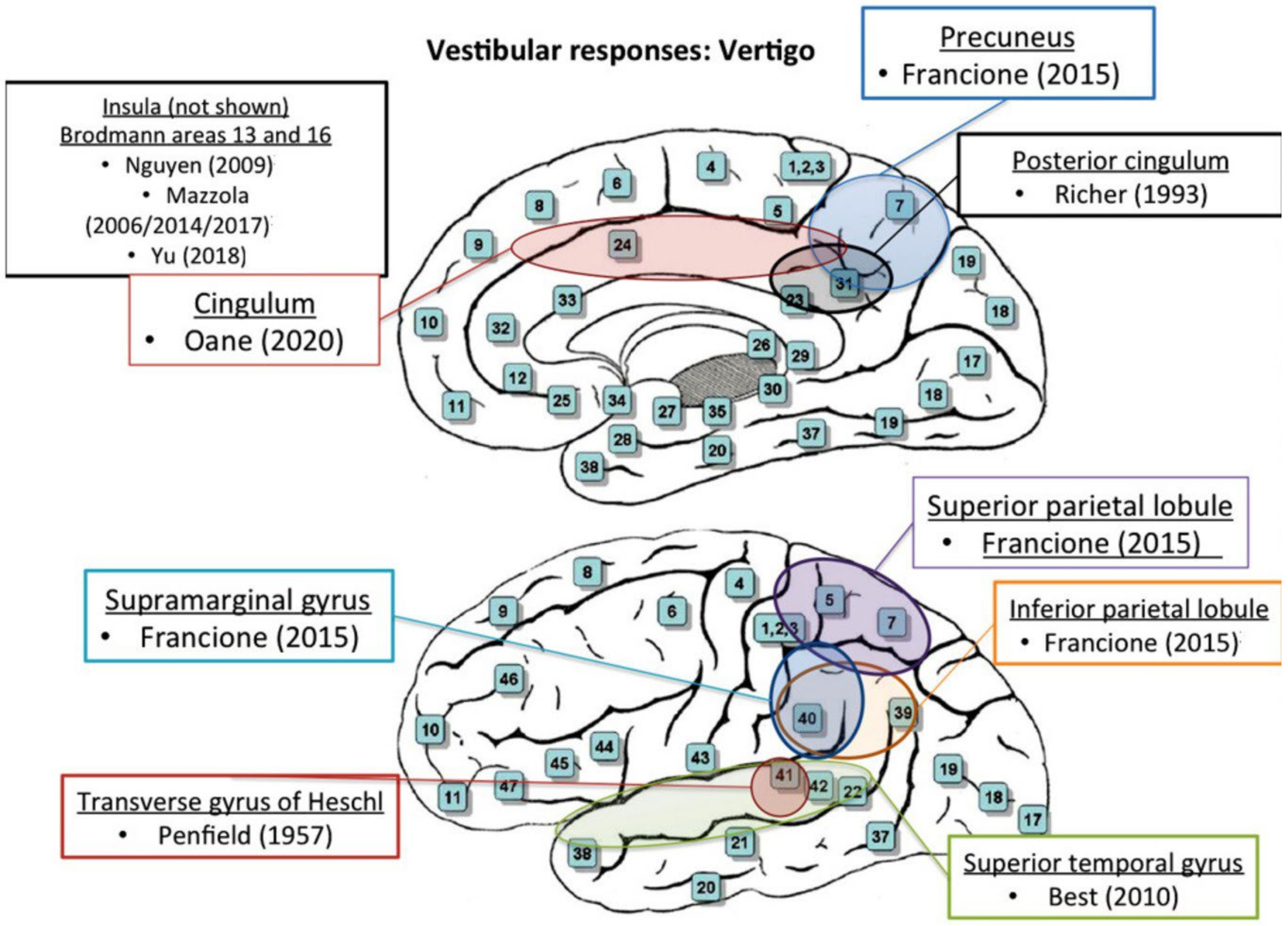 Brainsci 14 00075 g002 Brainsci 14 00075 g002
