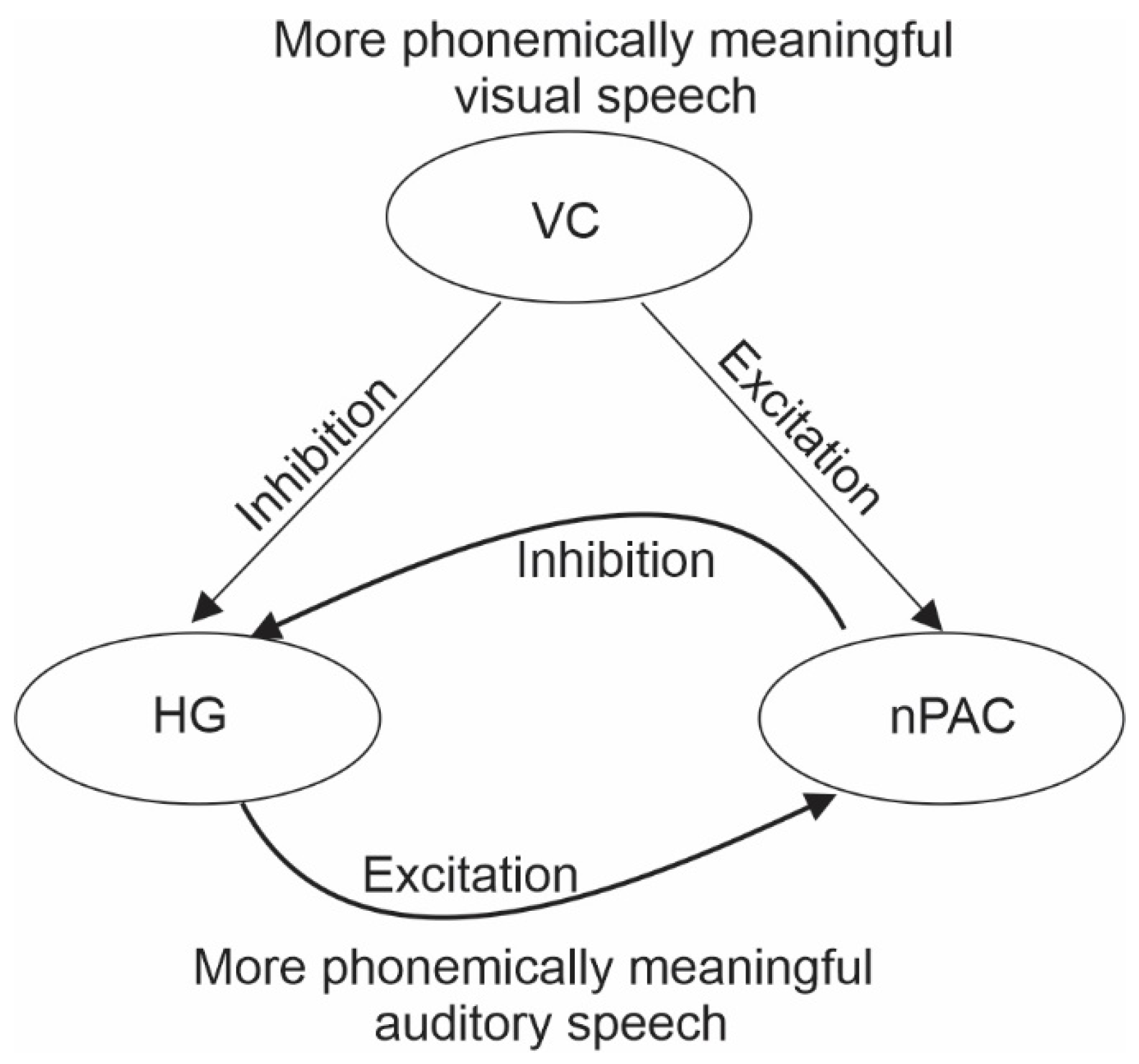 Cross-Modal Tinnitus Remediation: A Tentative Theoretical