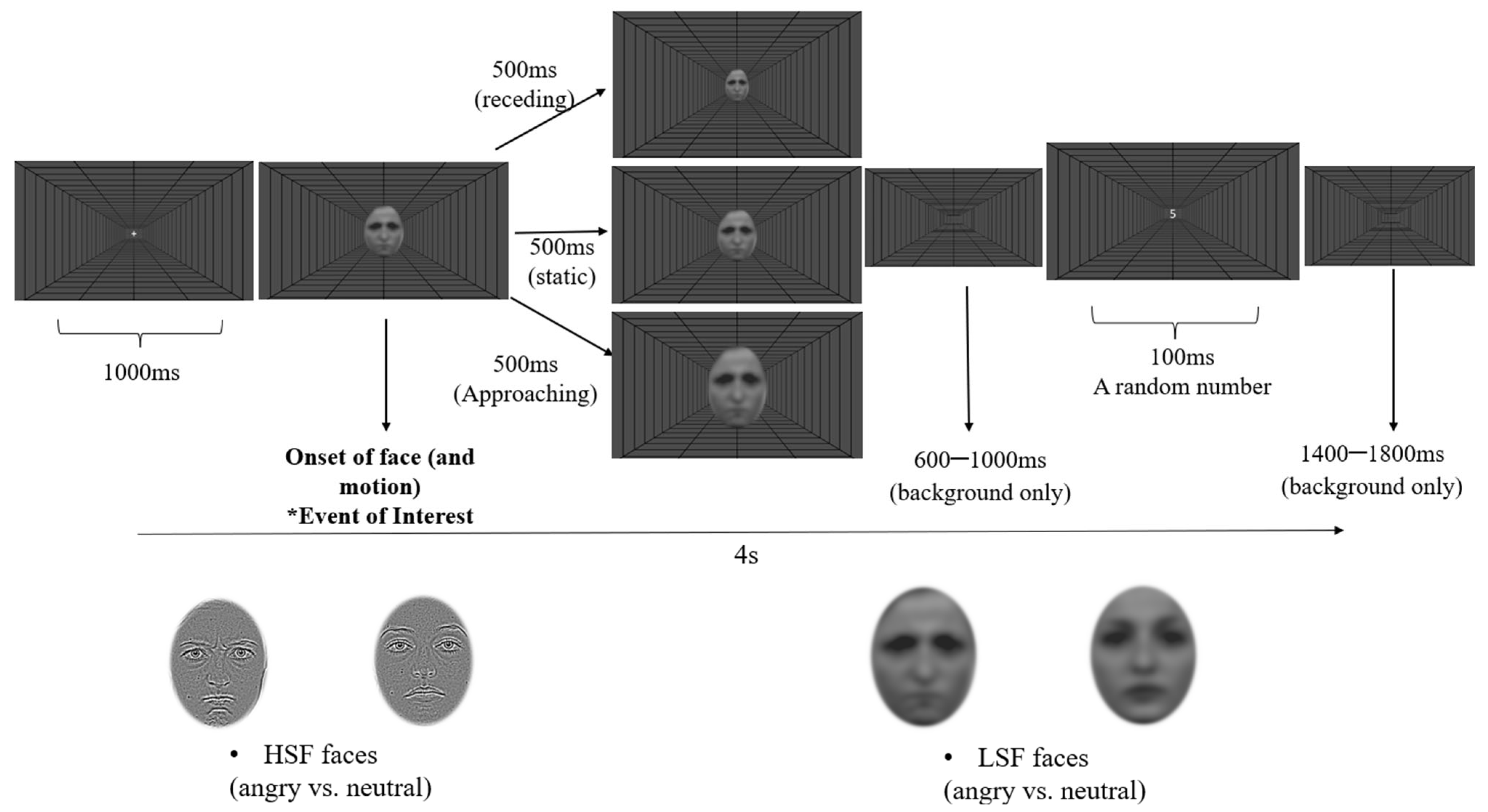 Brainsci 14 00098 g001