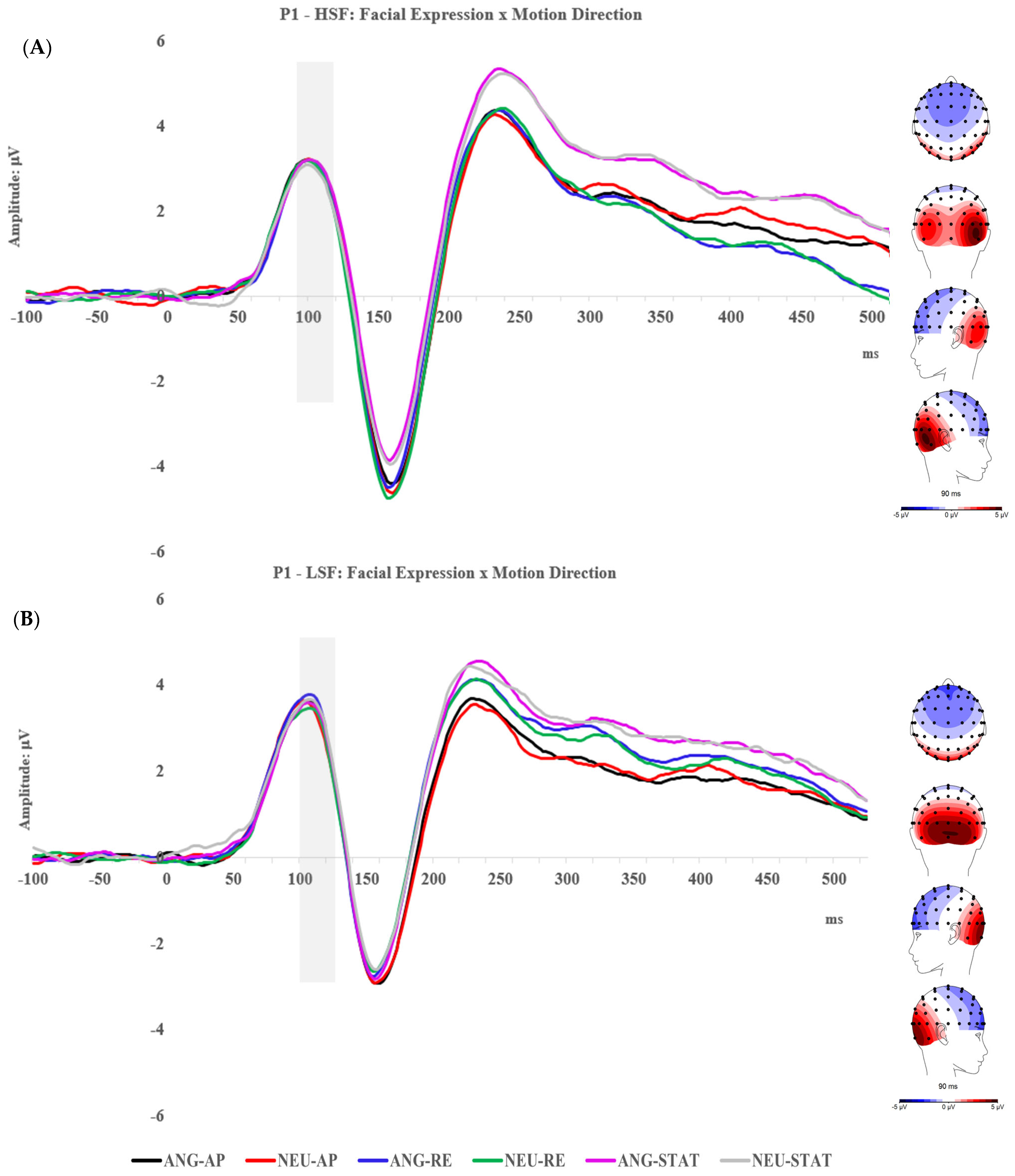 Brainsci 14 00098 g002
