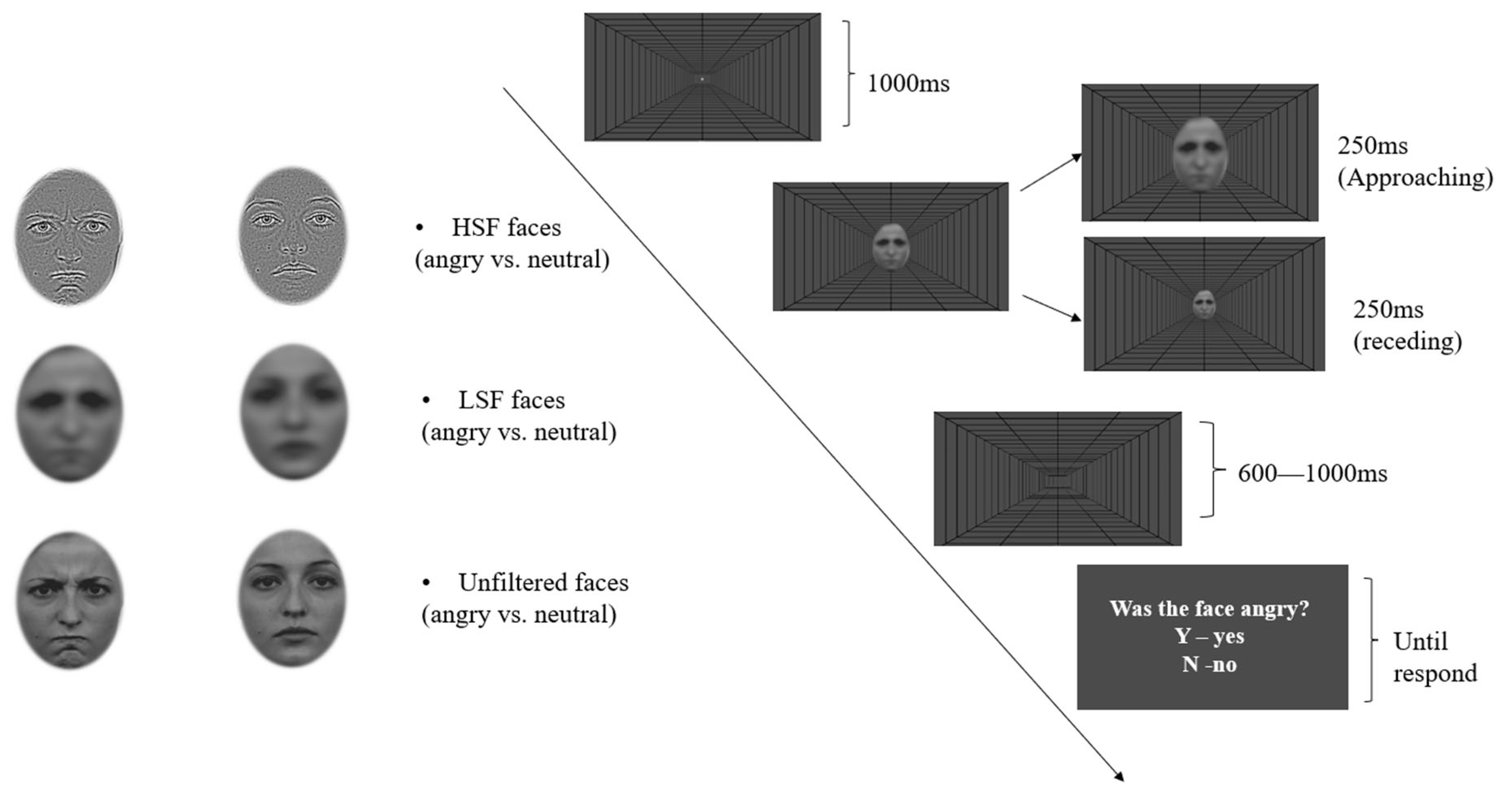Brainsci 14 00098 g006