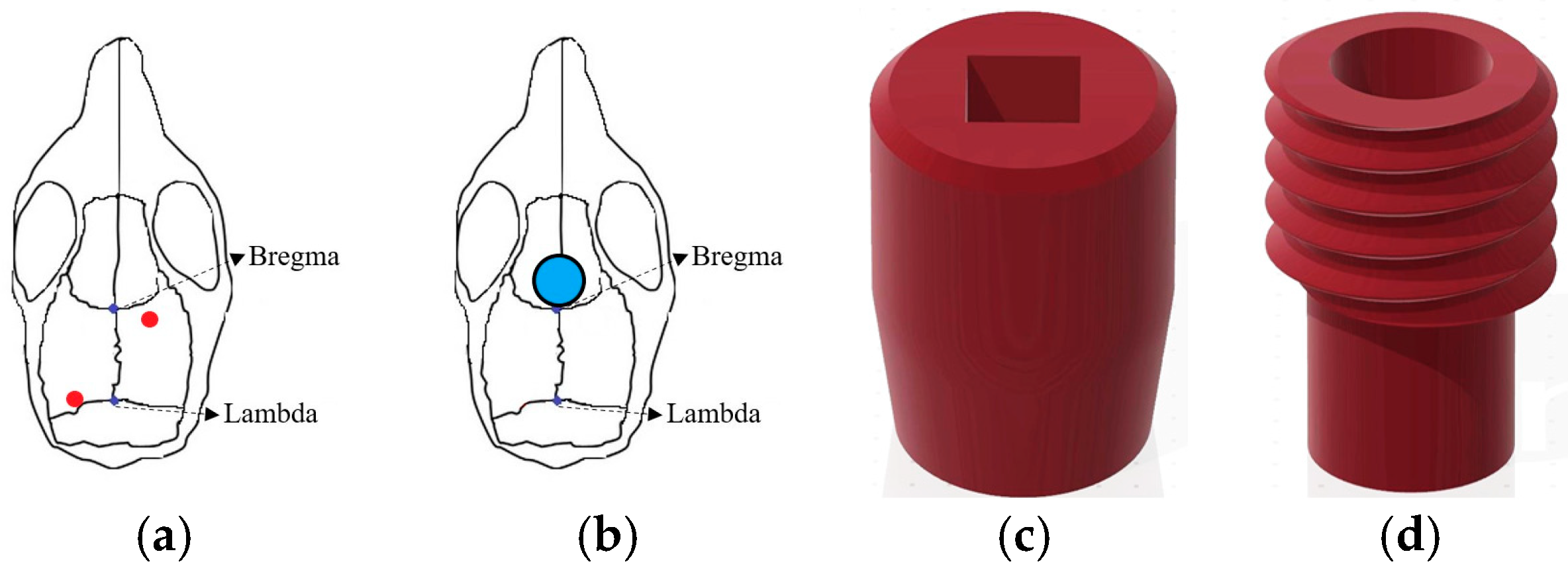 Brainsci 14 00105 g001