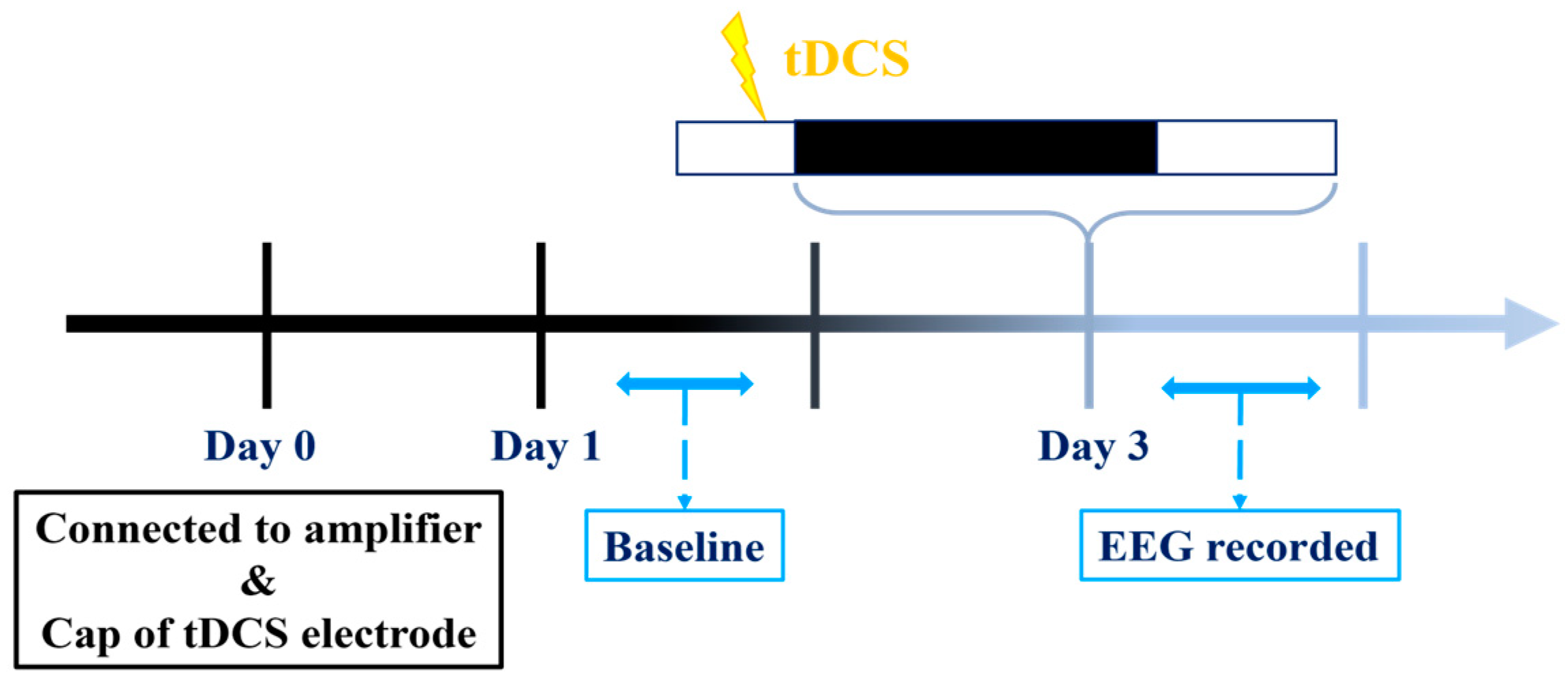 Brainsci 14 00105 g002