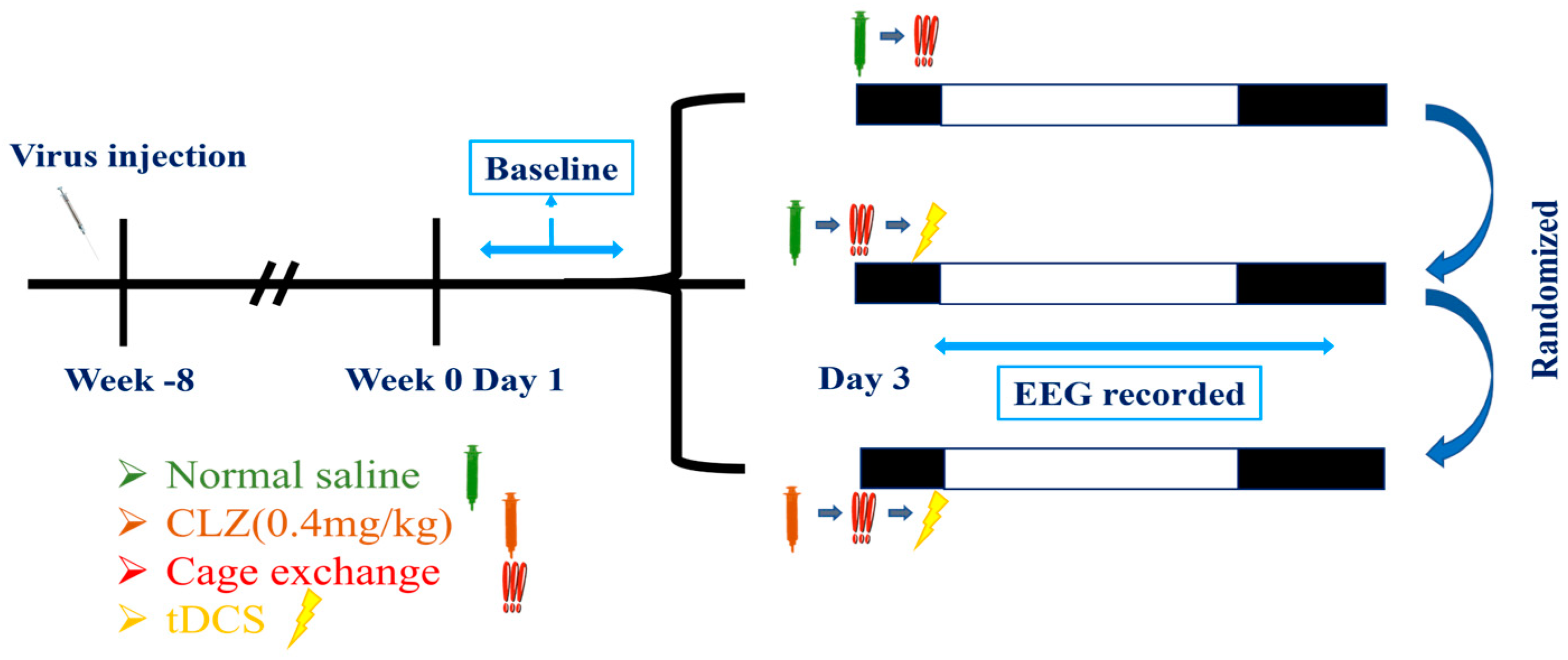 Brainsci 14 00105 g004