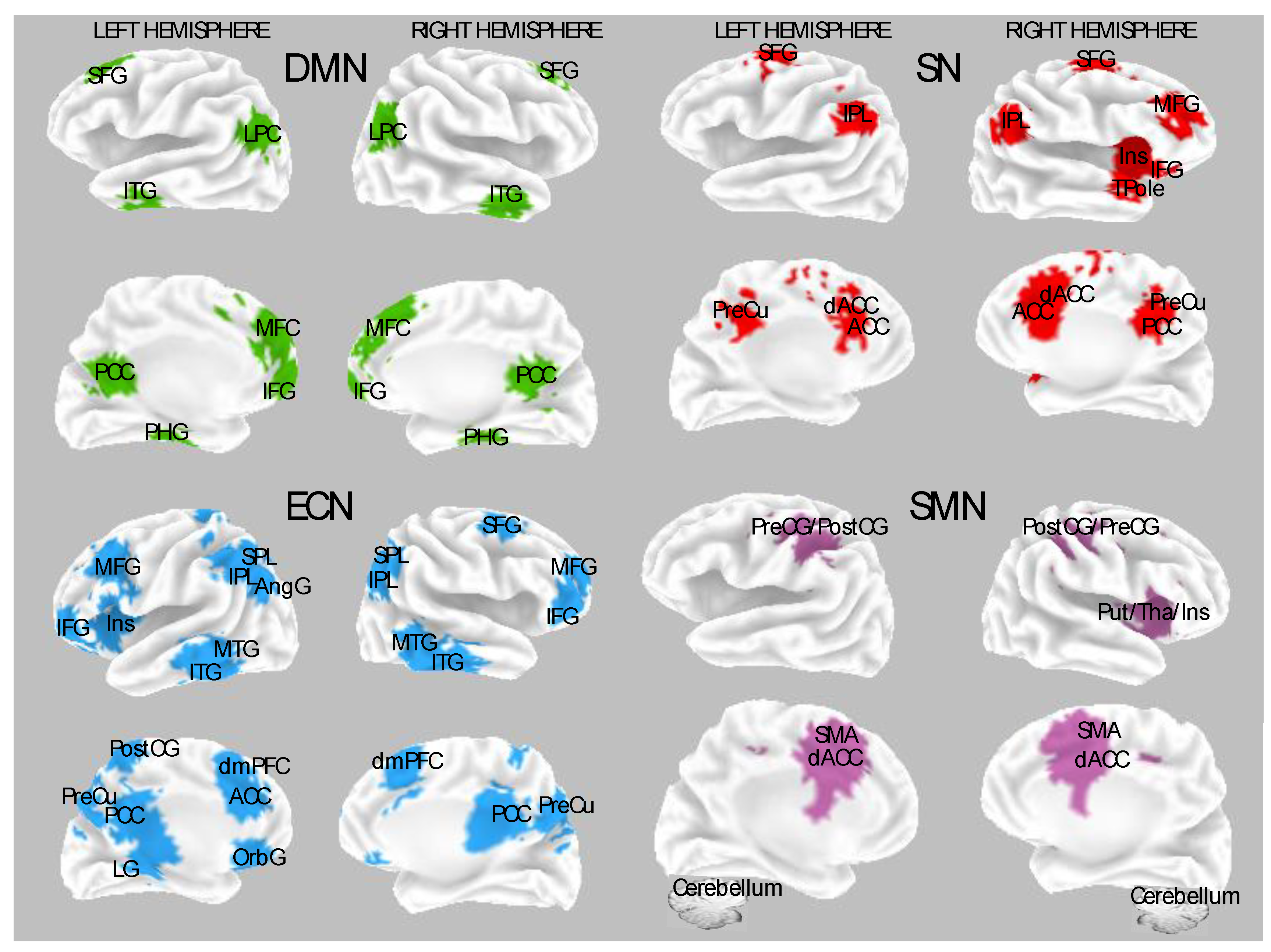 Brainsci 14 00115 g001