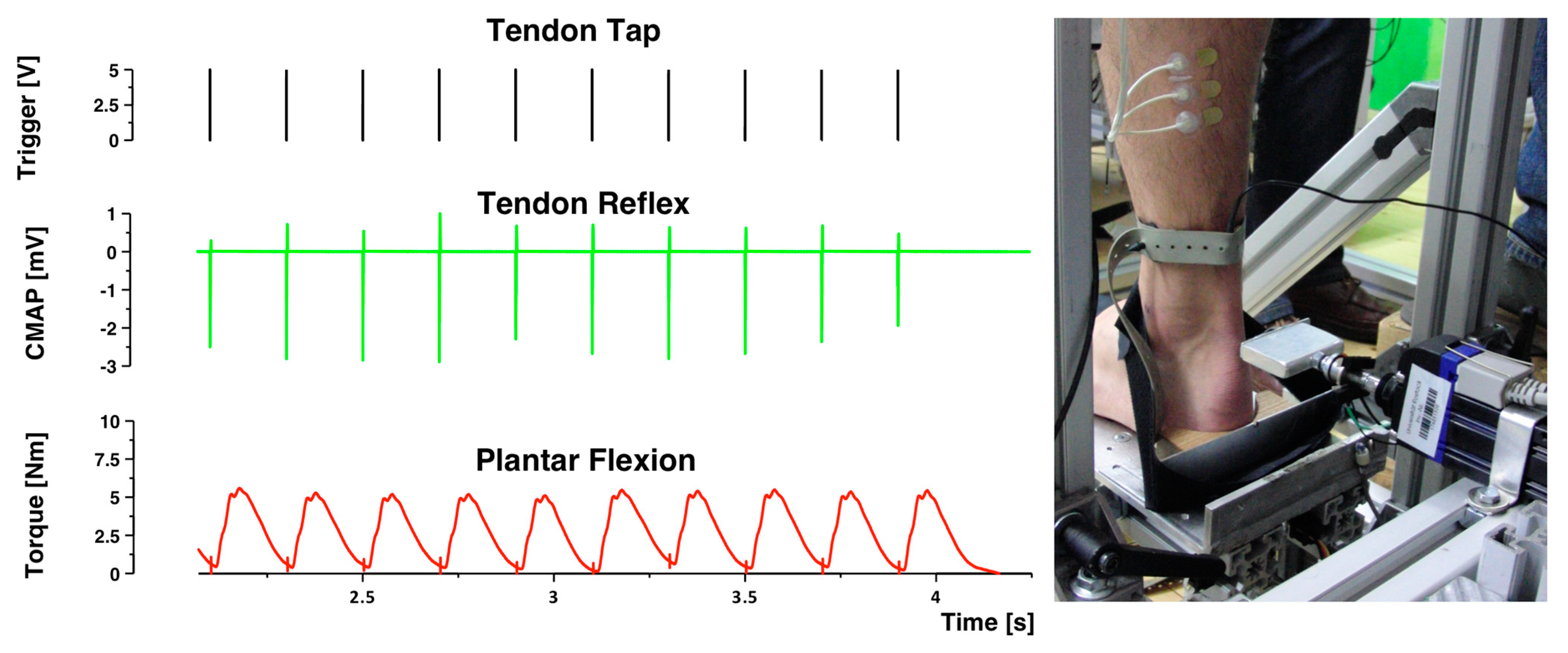 Brainsci 14 00119 g003 Brainsci 14 00119 g003