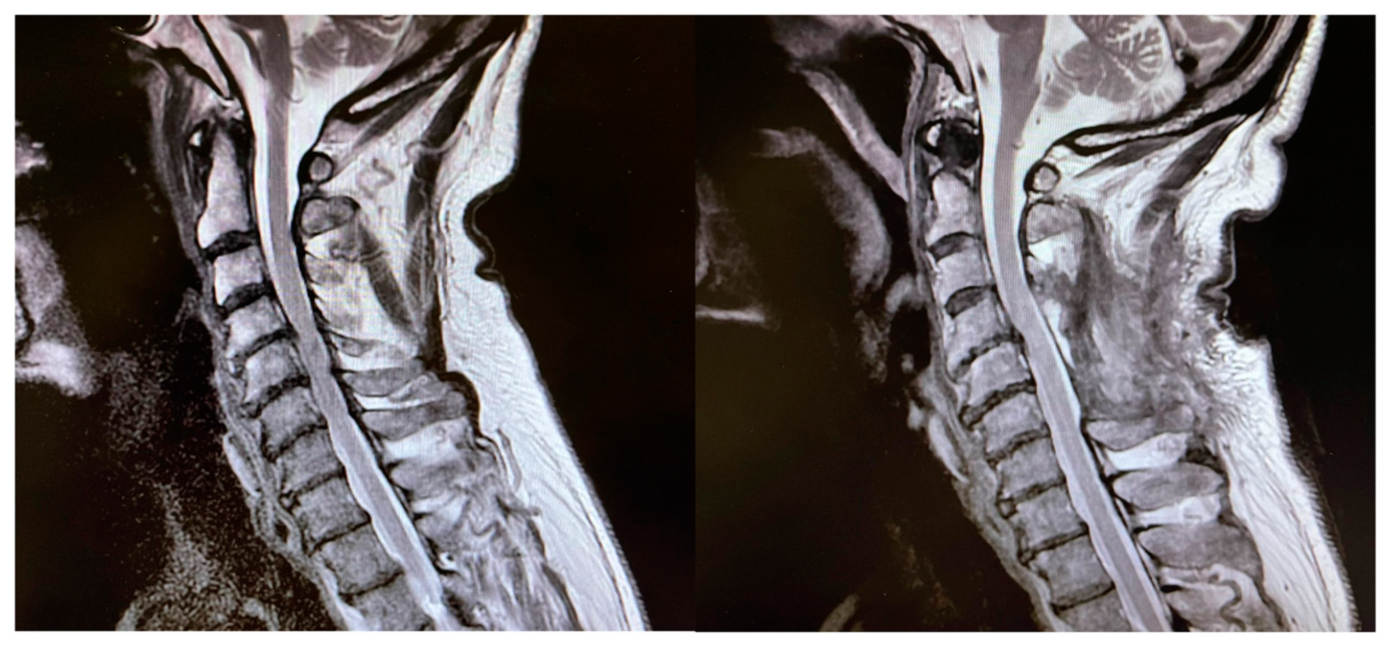 Brainsci 14 00124 g001