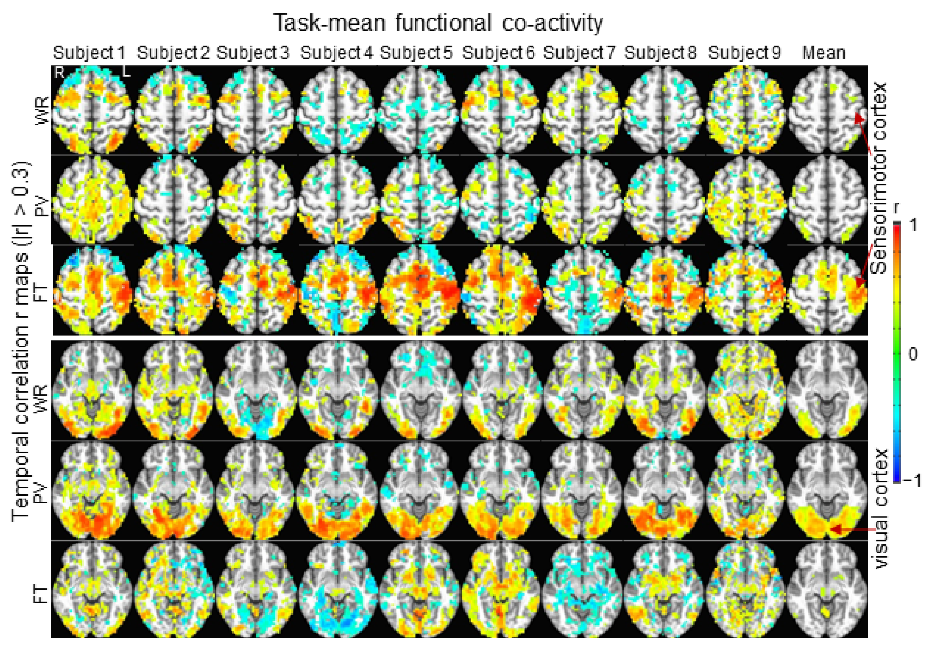 Brainsci 14 00125 g004