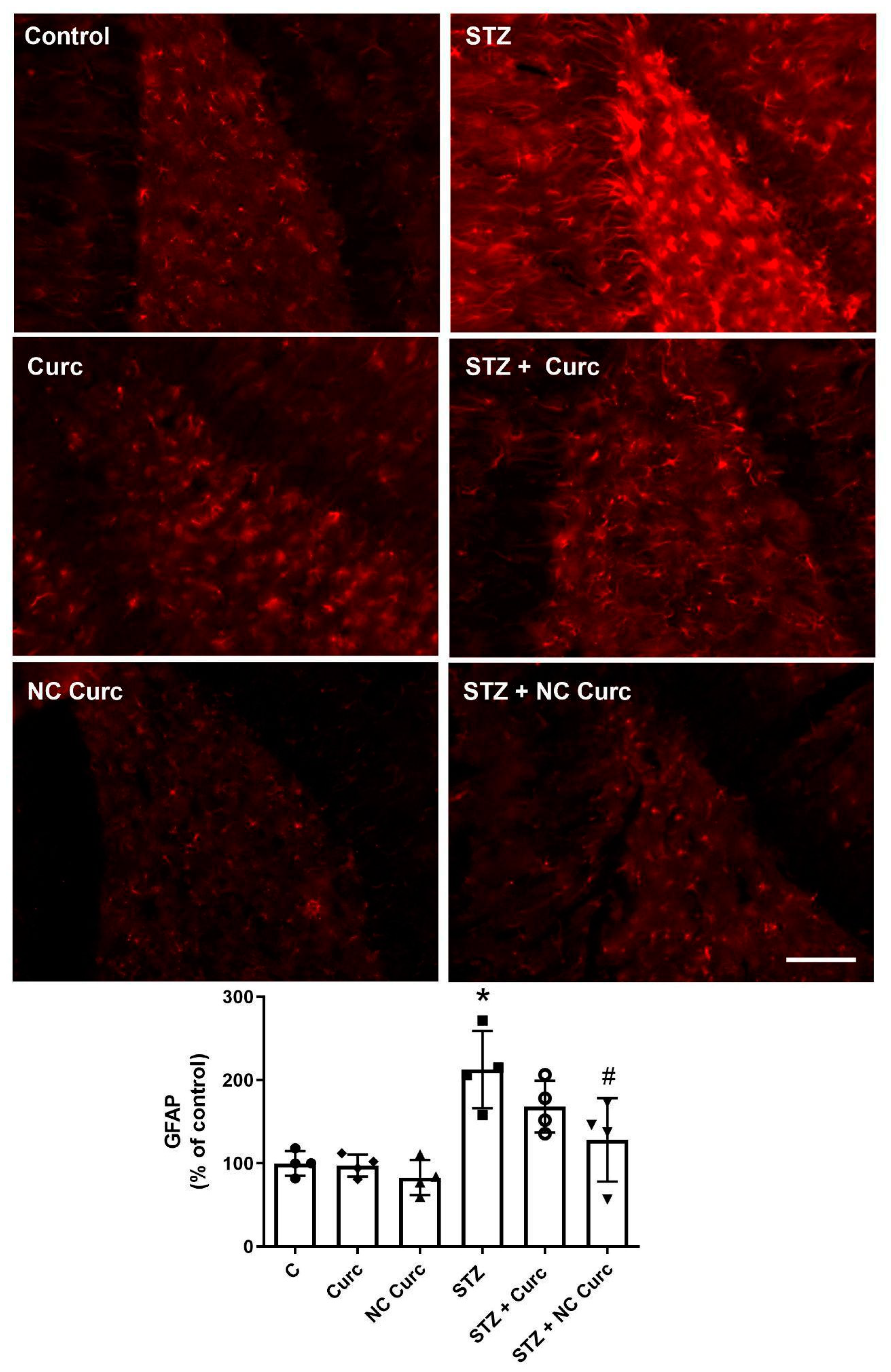 Brainsci 14 00130 g006