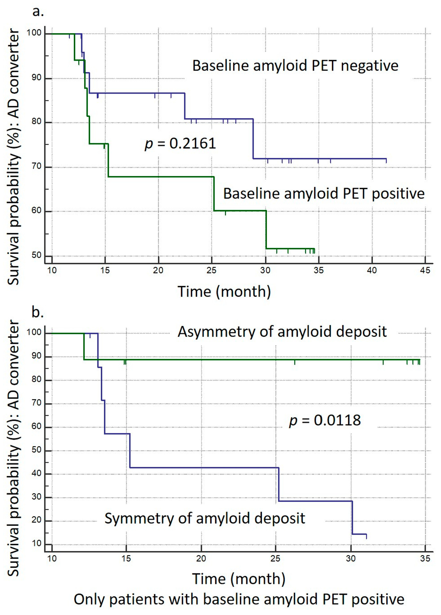 Brainsci 14 00132 g004