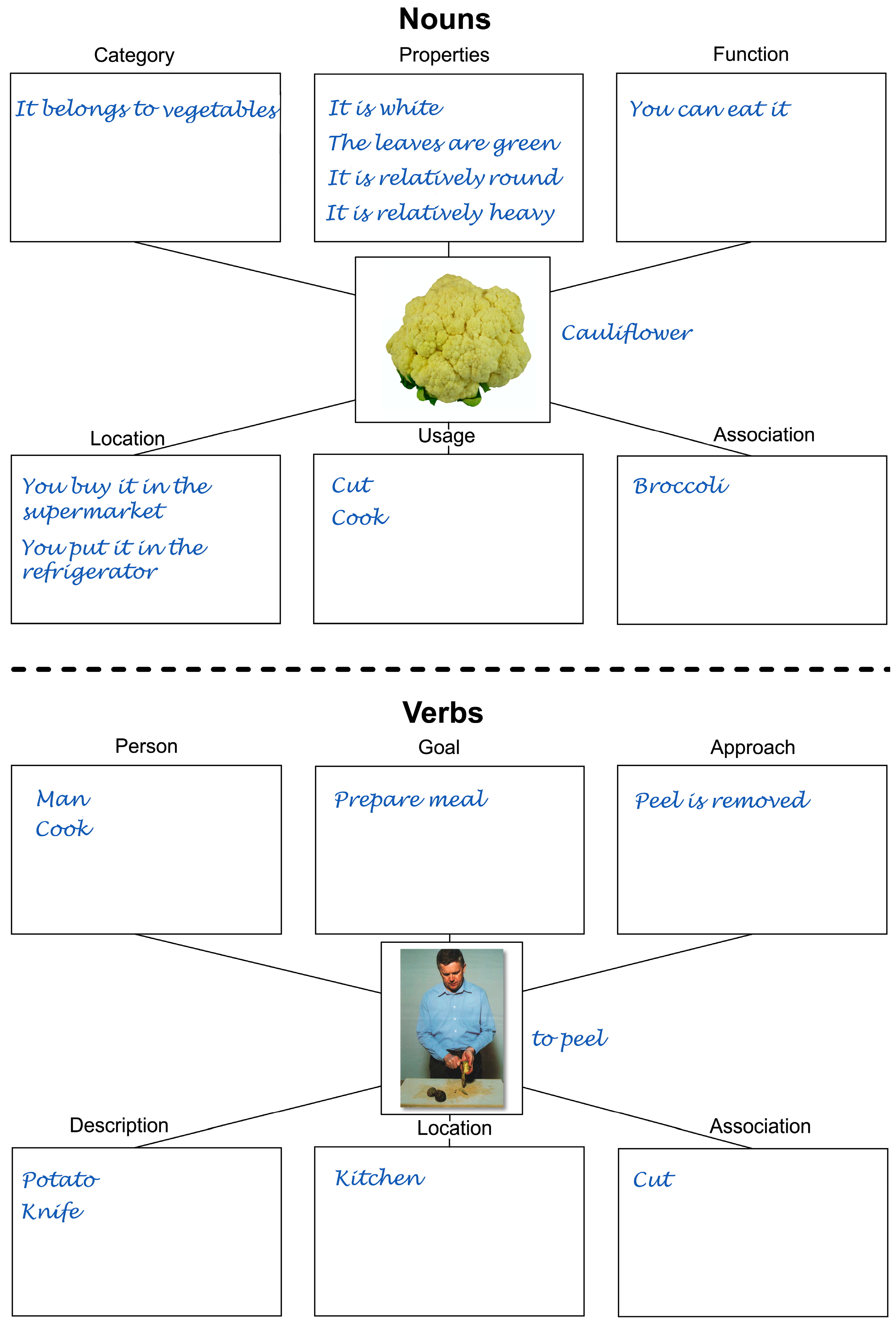 Brainsci 14 00133 g001