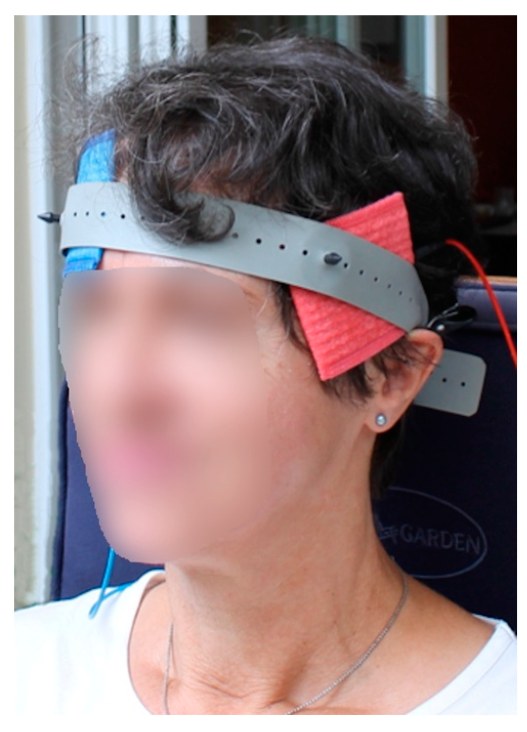 Brainsci 14 00133 g002