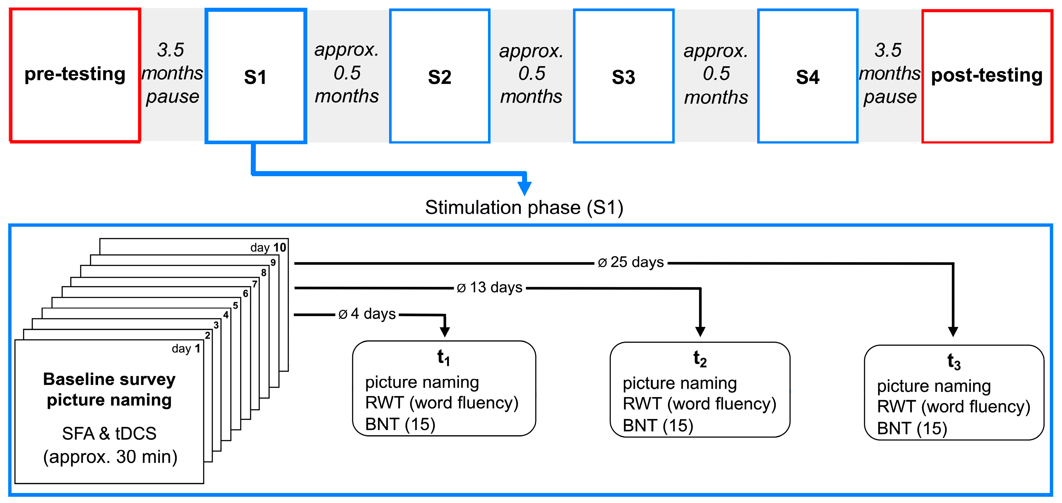 Brainsci 14 00133 g003