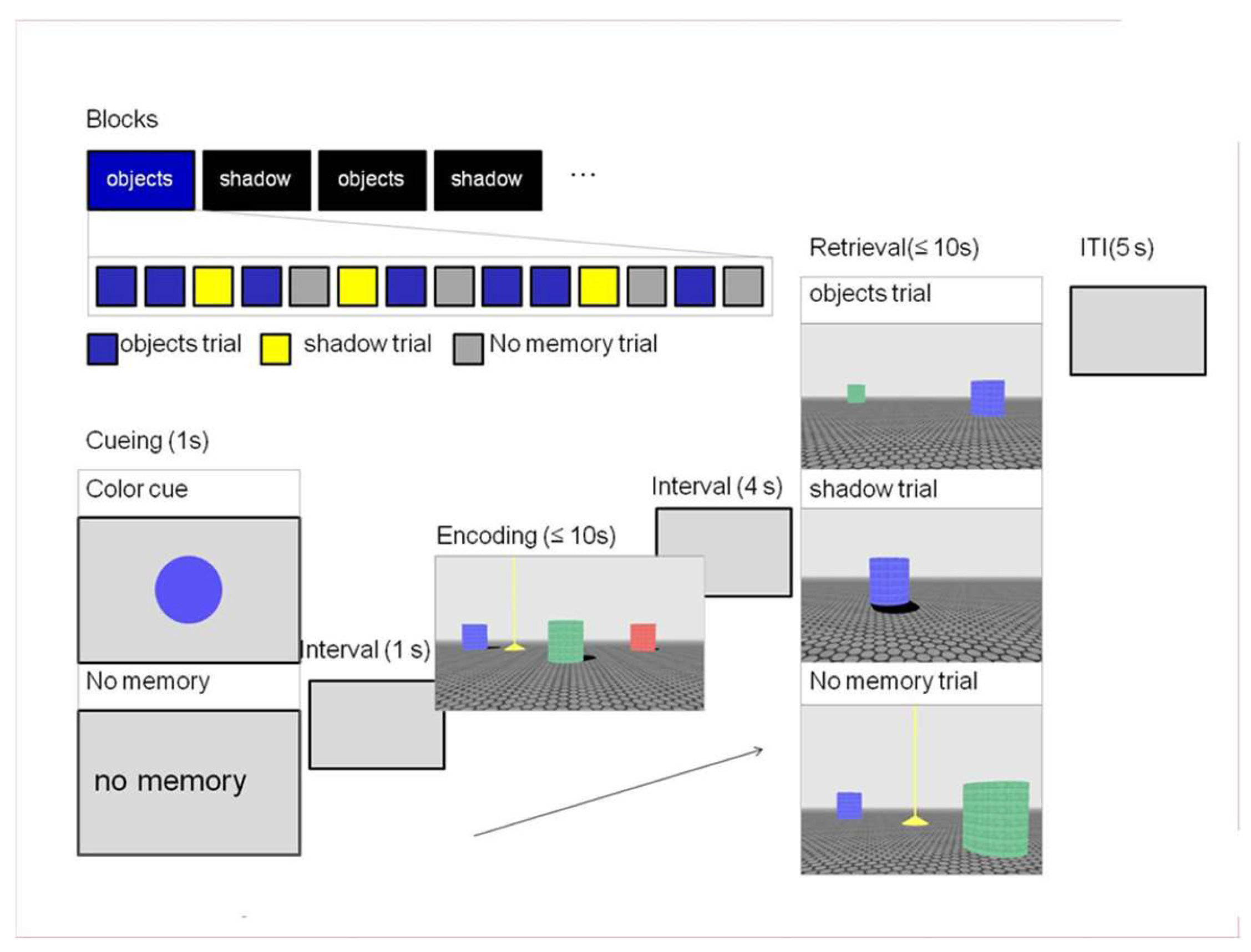 Brainsci 14 00134 g001 Brainsci 14 00134 g001
