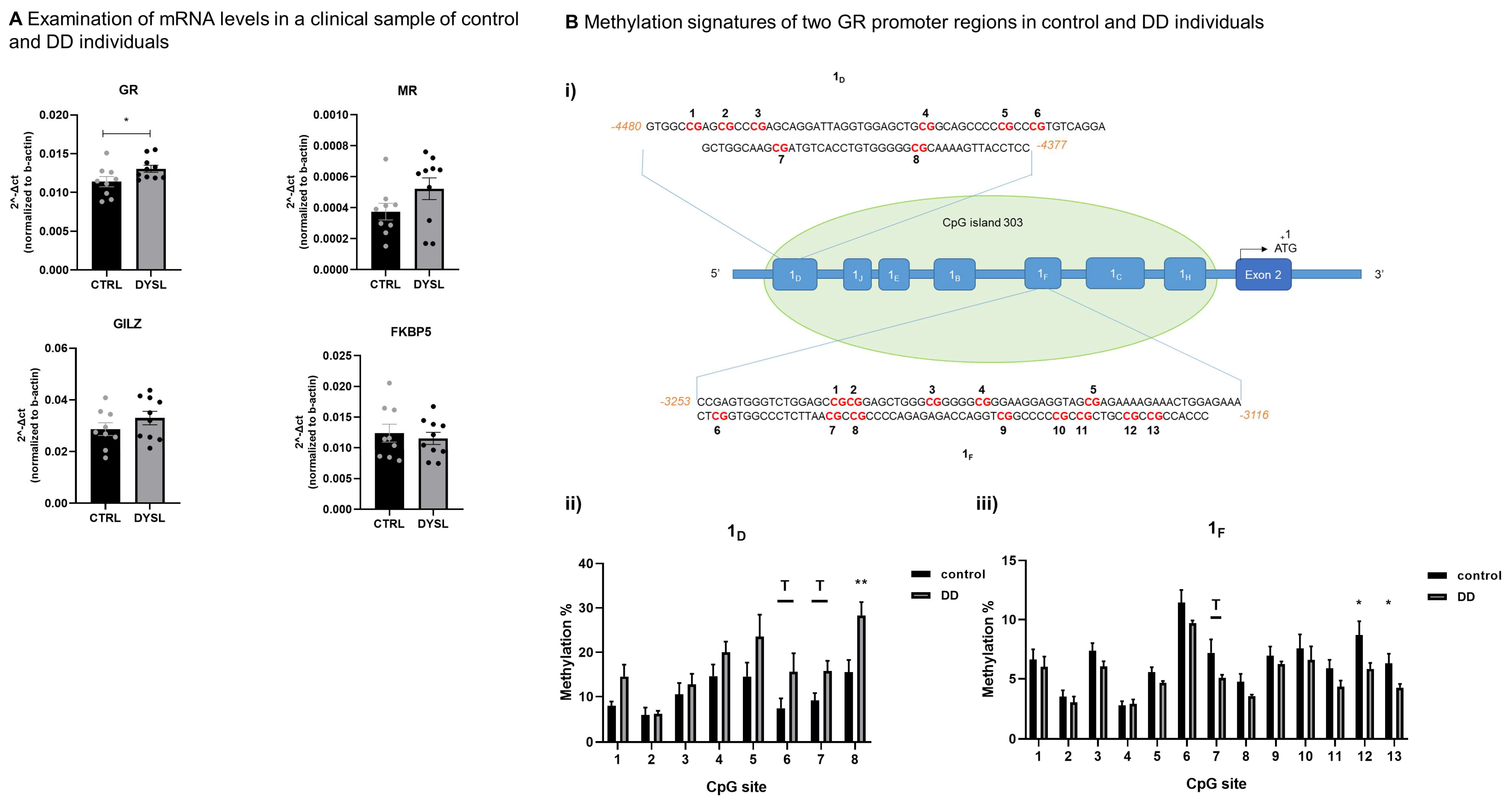 Brainsci 14 00139 g001 Brainsci 14 00139 g001