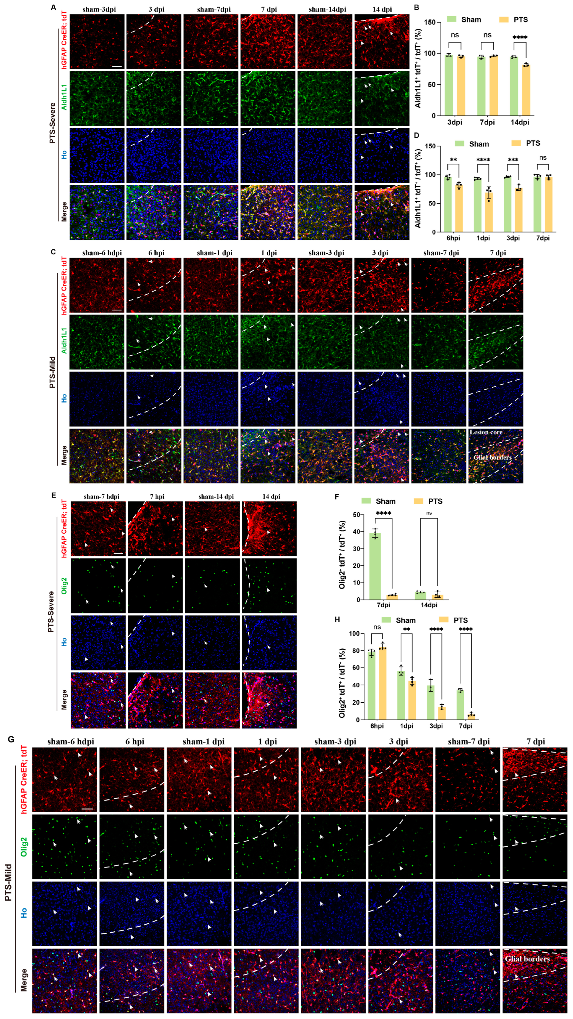 Brainsci 14 00152 g003